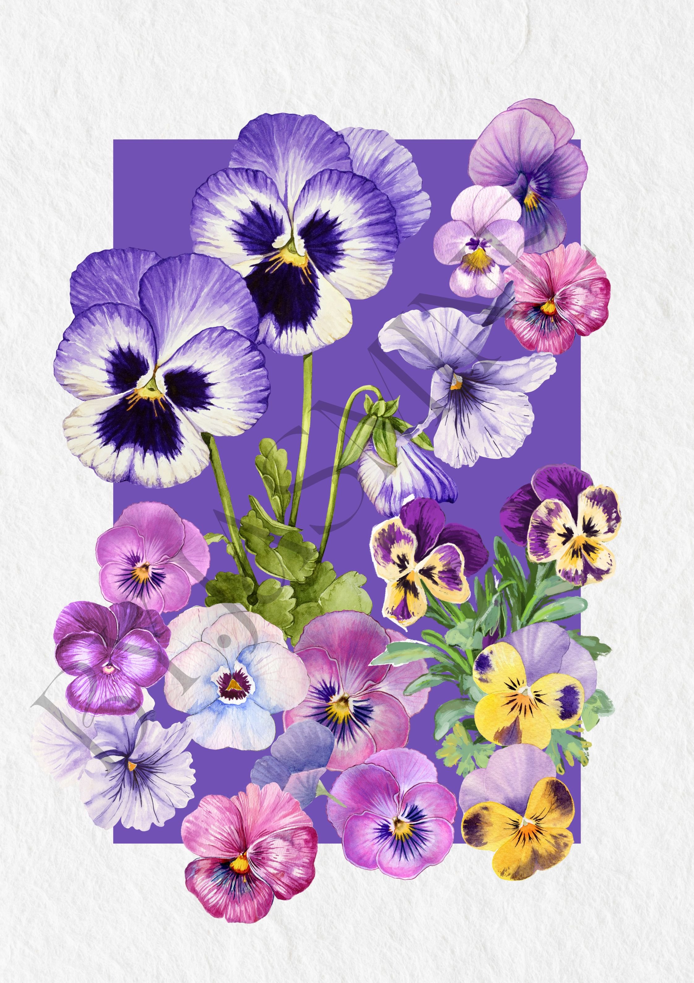 Copy of GARDEN FLOWERS ART.jpg