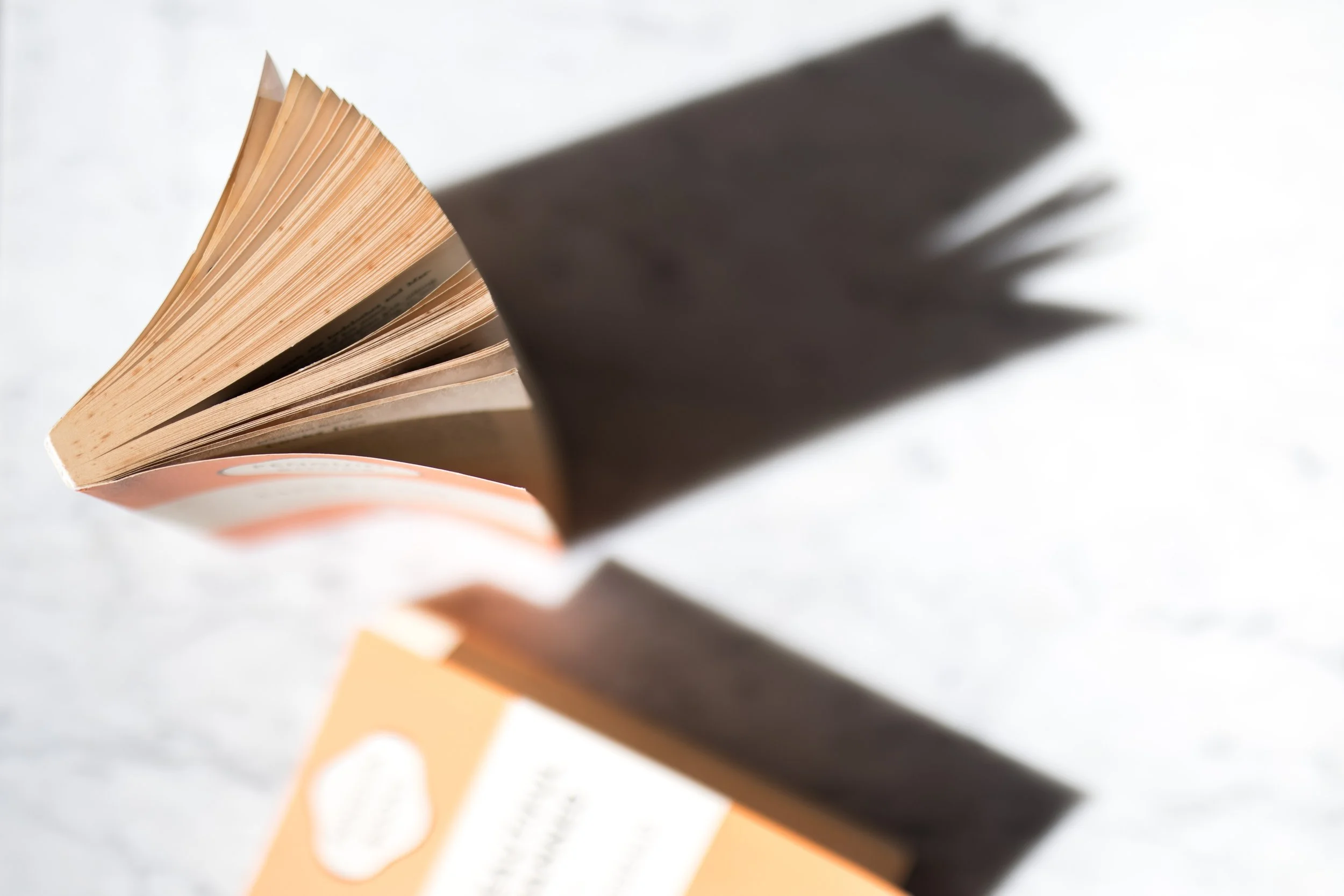 An image of two books brightly lit and casting hard shadows. The book furthest from the lens is blurry.