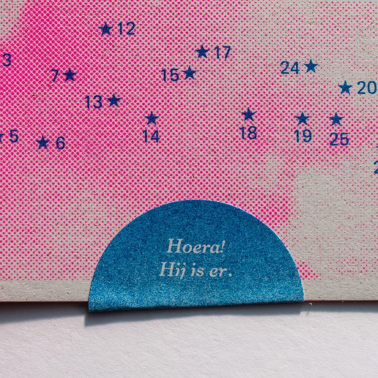 Aangepaste kleuren: fluo pink + blue. Papier: Crush Corn 250g.