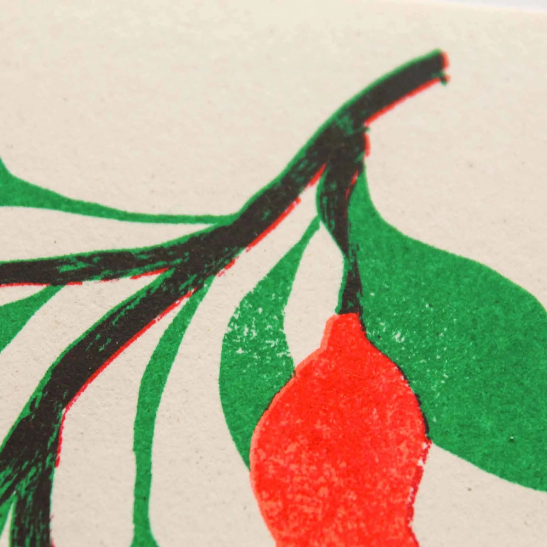  Ontwerp : Studio Boekenberg    Kleuren : Fluo Orange + Bright Red + Green   Papier : Crush Citrus 250g