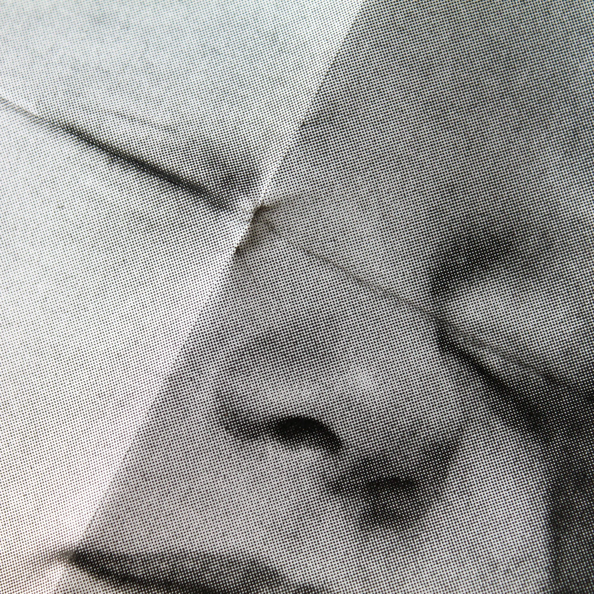 Studio-Boekenberg-Riso-geboorte-flora24.jpg