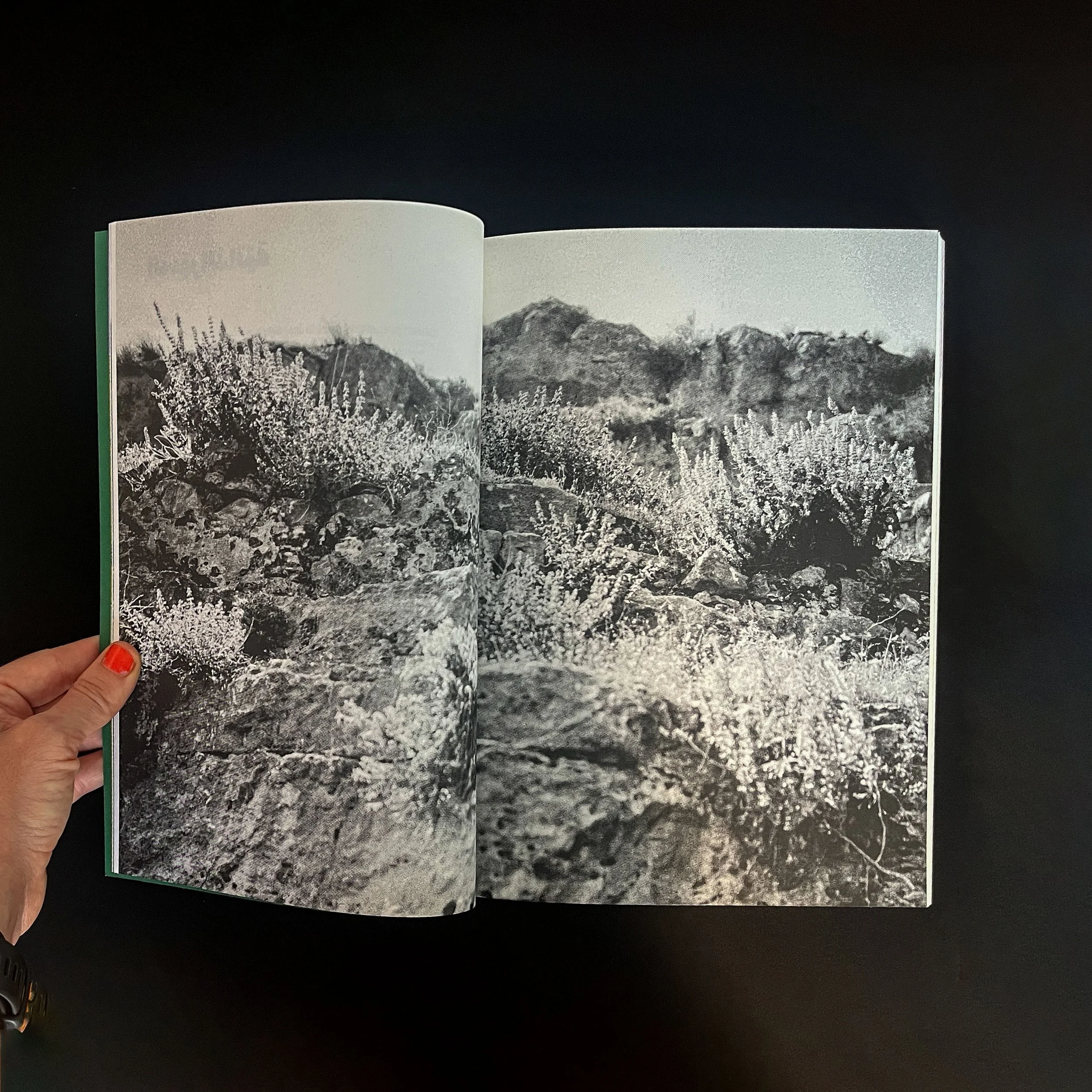  Ontwerp : Chiara Zakhia    Kleuren : Black   Papier : Freelife White 120g