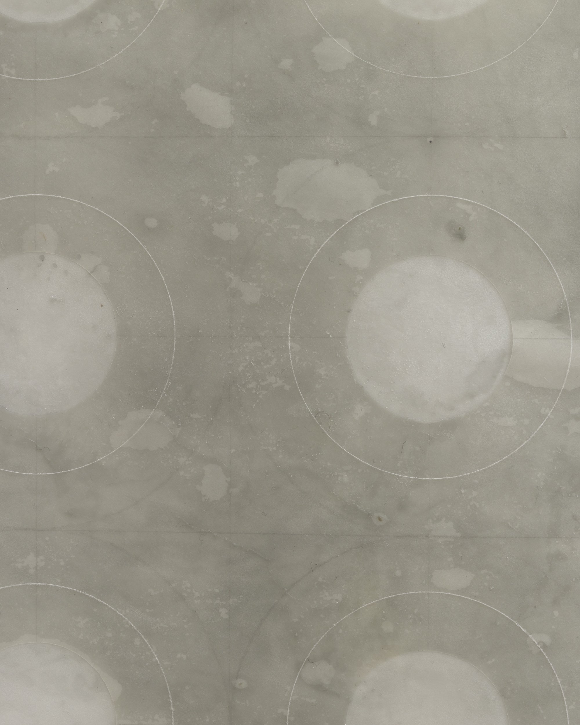 Reproduction-Emily Kelly-5.jpg