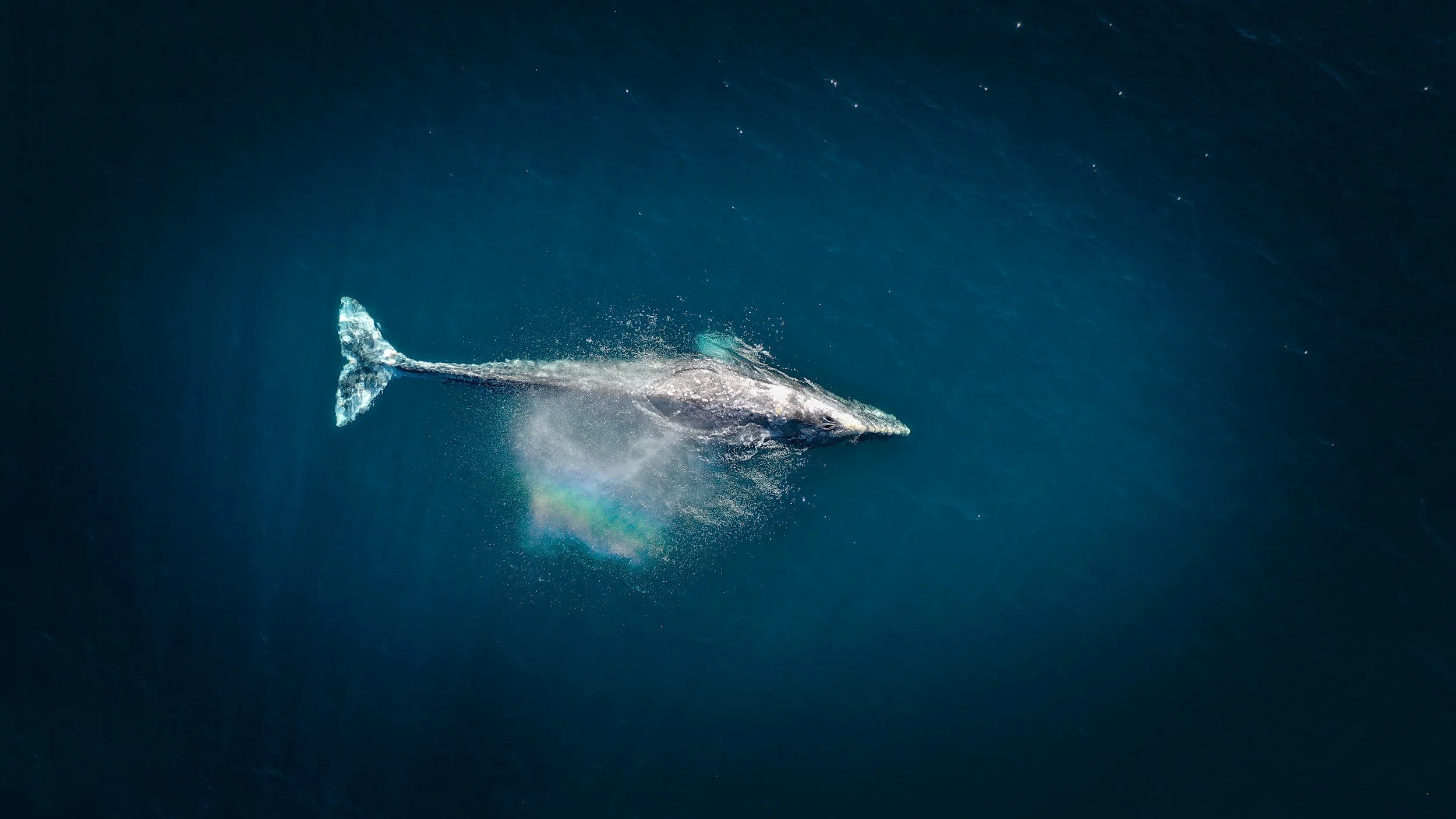 unsplash-image-3rabTGLccwc.jpg