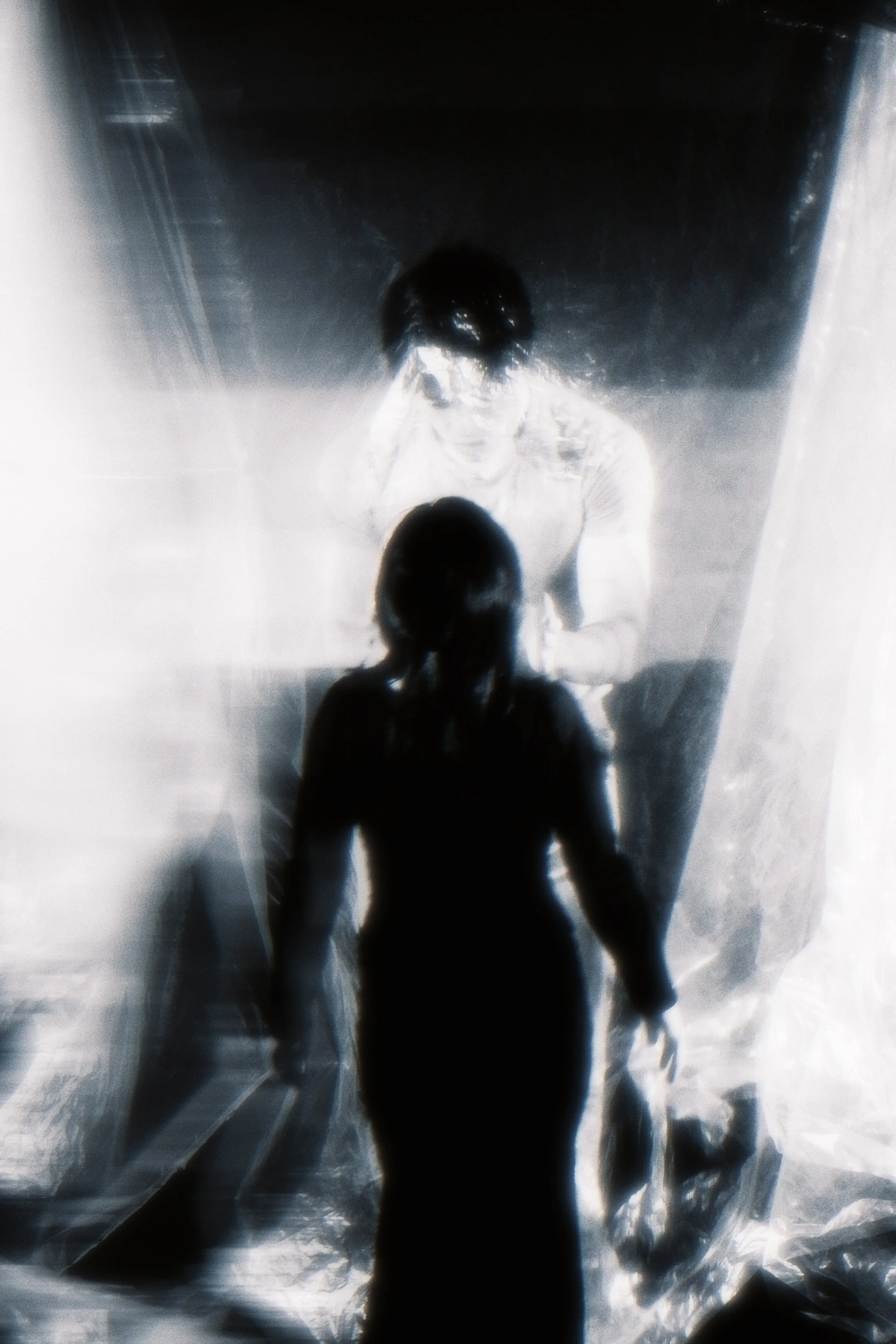 I am trapped in the roles I play
Beneath the masks I wear
And so I forget what is real
What is fake 
If time does not exist
If love is but the projection of desire 
If art is nothing more than the meaningless offspring of my mind
How then do I define