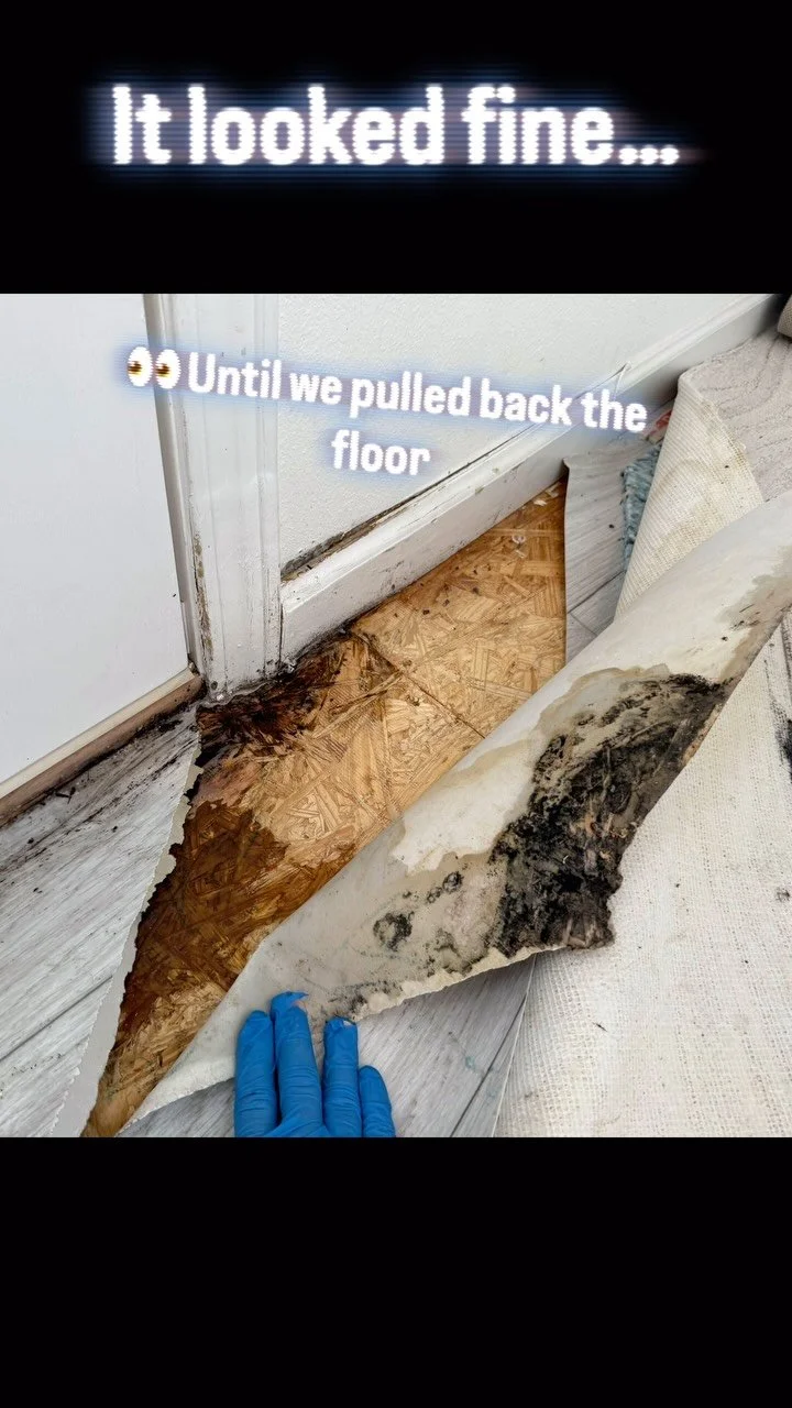 🔍 This floor looked totally fine… until we pulled it back. 99.9% moisture, mold growth already started. That’s why we don’t guess. We measure. We dry. We document everything! We serve Central Texas 24/7 with pro-level water remova