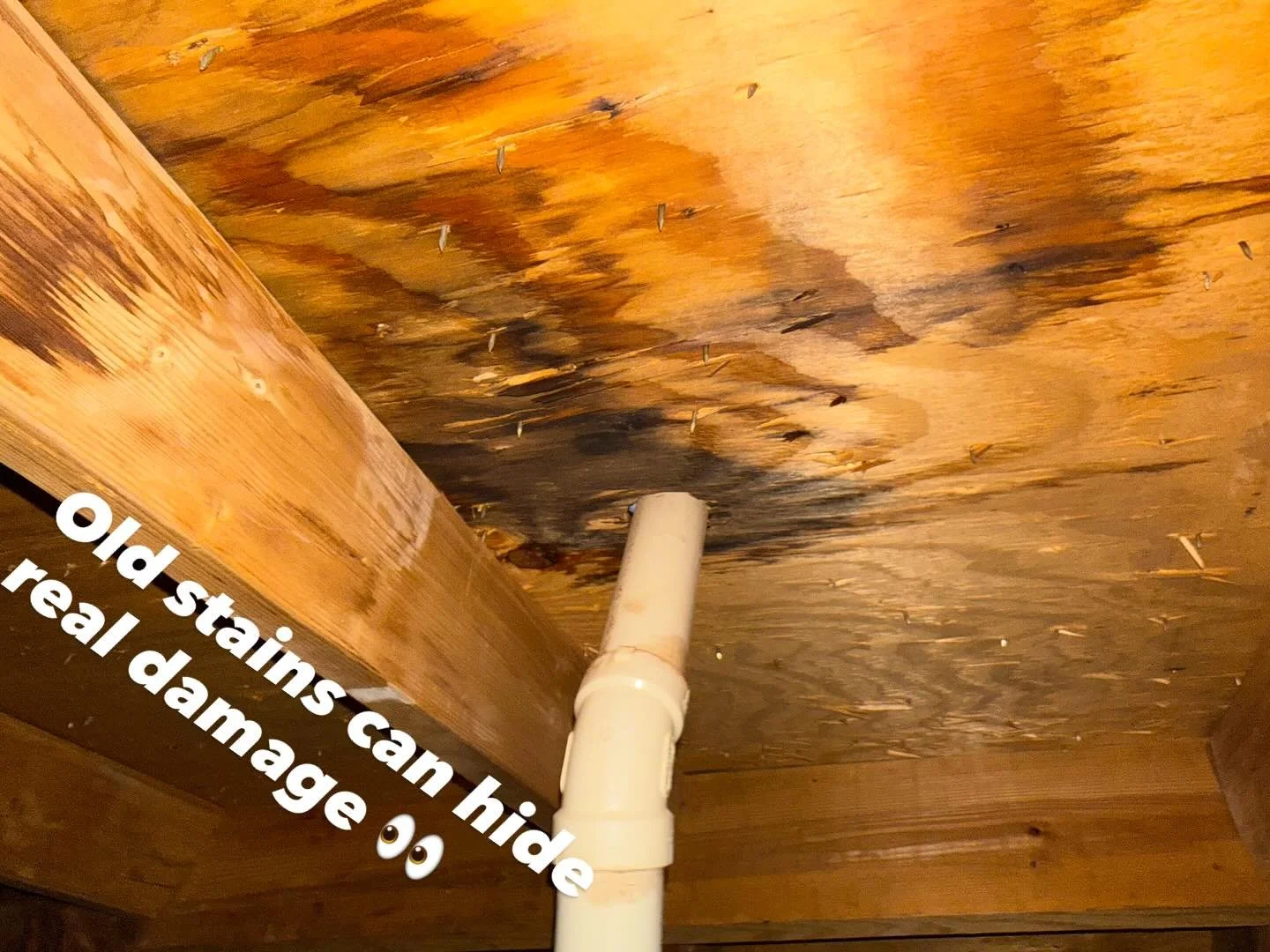 Homeowner called us to check for “old stains” in the ceiling — and they were right to. 💧
Once we got up into the attic, we found clear signs of a past leak. Luckily, everything tested completely dry using our professional moisture