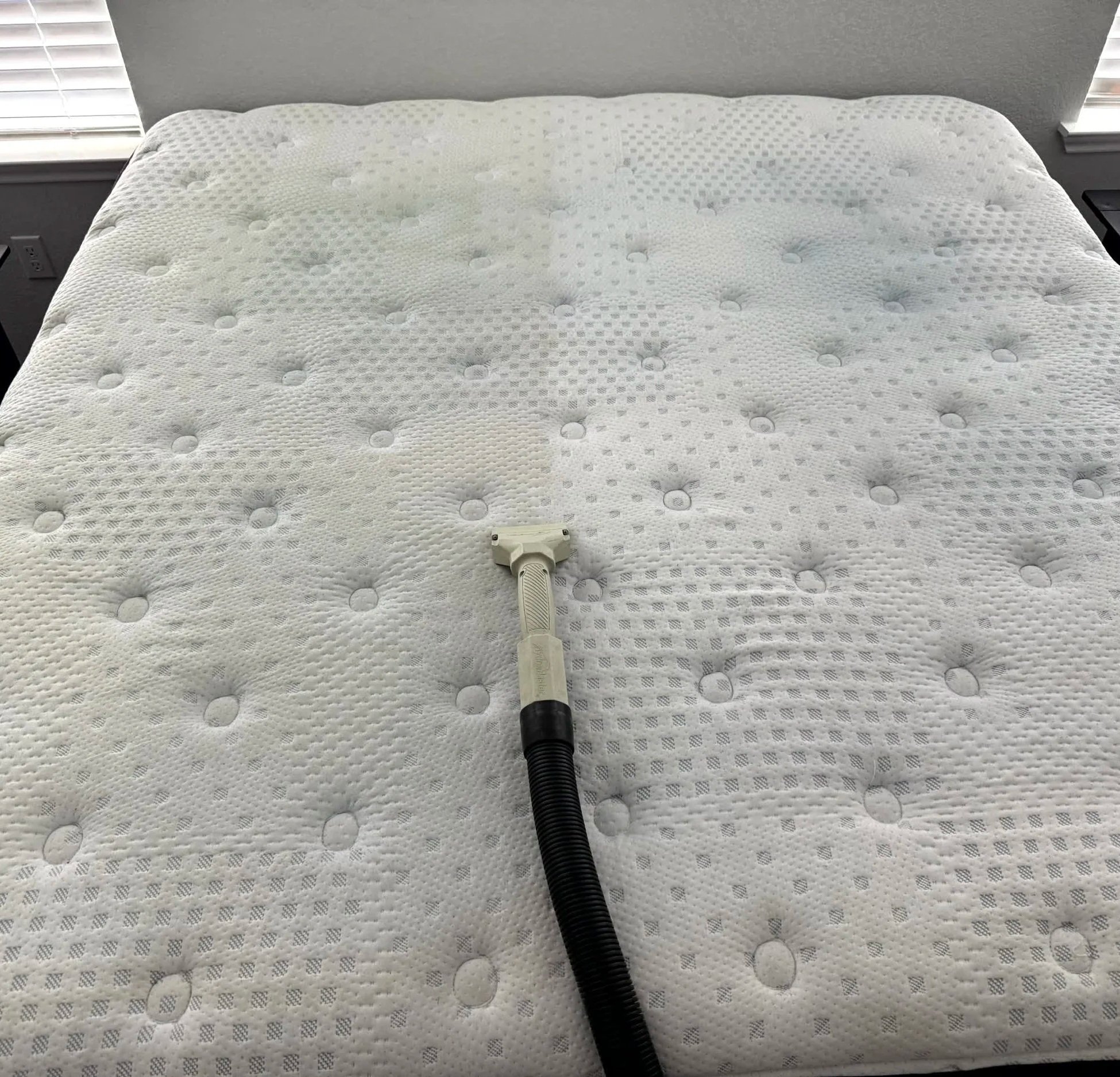 A Killeen, Texas mattress in the process of being cleaned and restored.