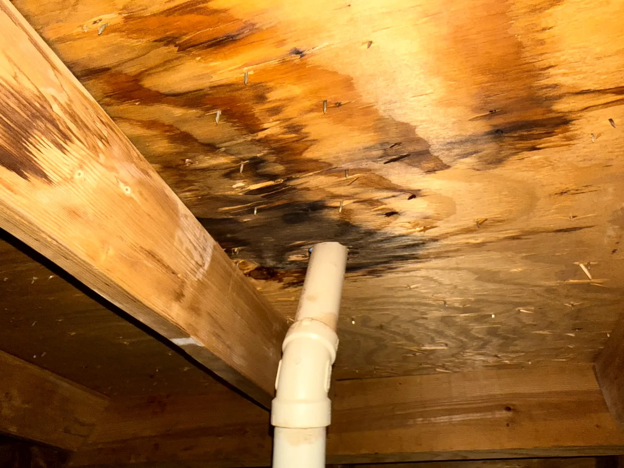 Attic inspection in Kempner, TX - found signs of an old roof leak.