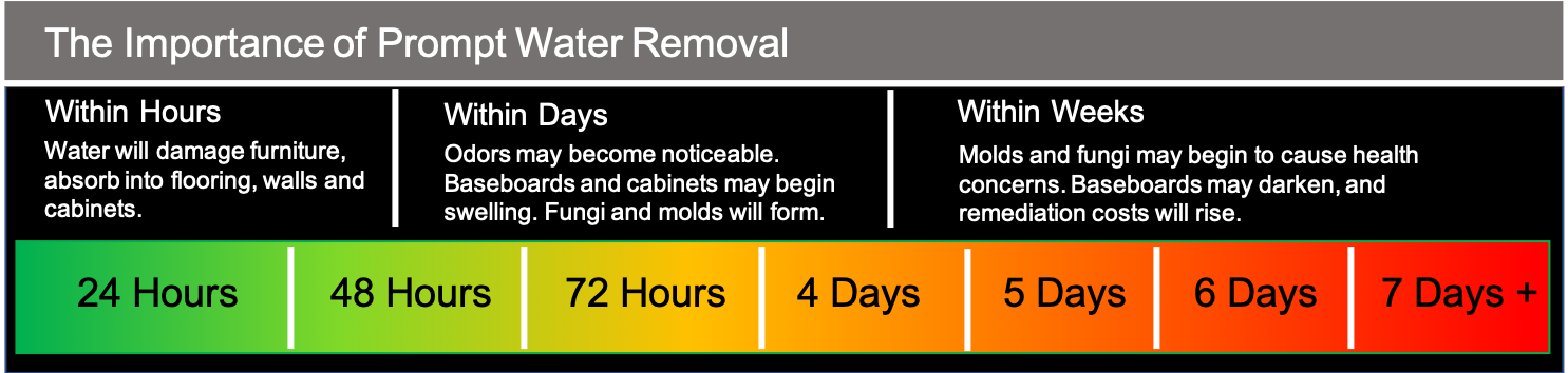 Timeline infographic showing how water damage worsens from Day 1 to Day 7, progressing from clean water and minor moisture to structural damage, mold growth, and Category 3 contamination.