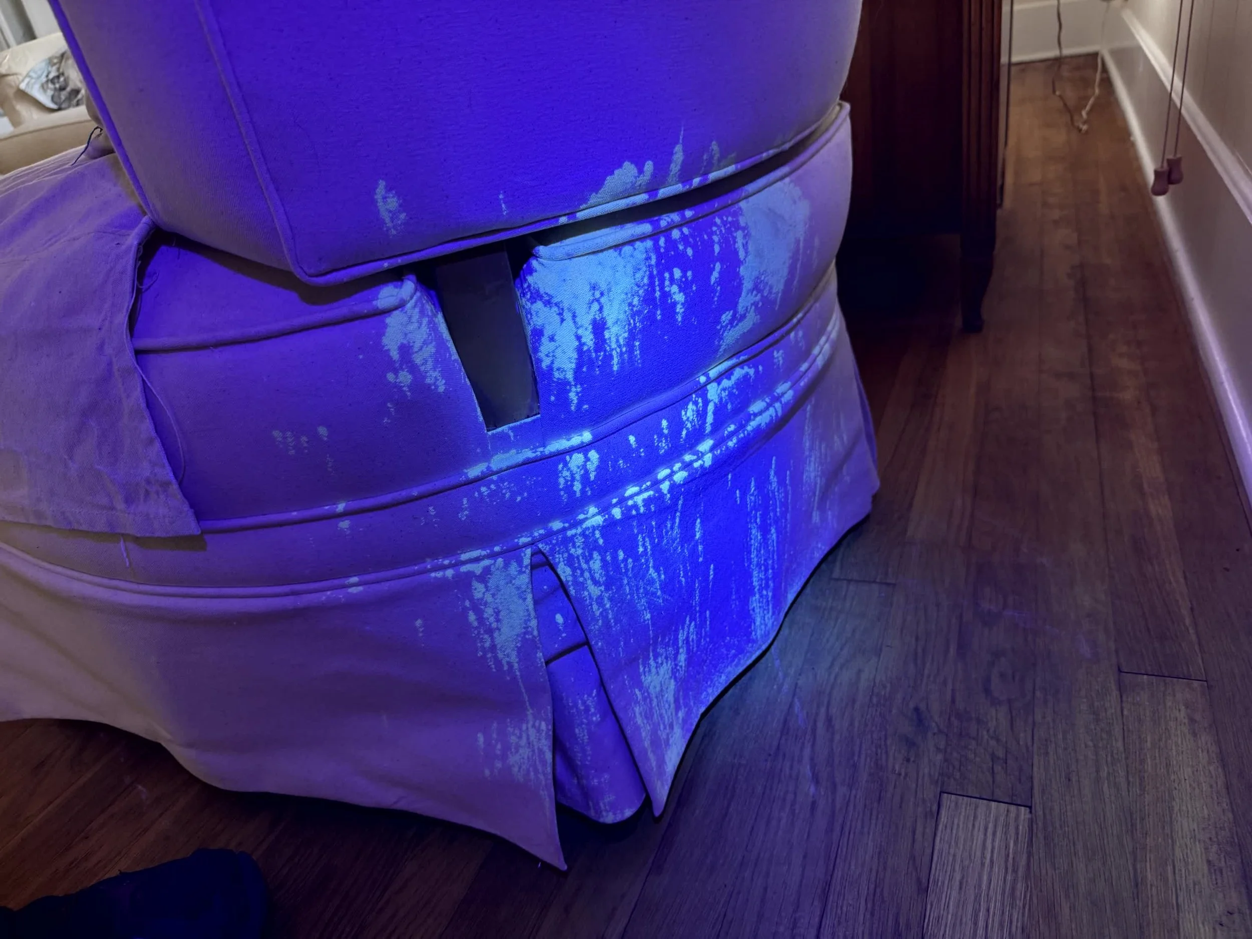 Pet urine glowing under a UV light on carpet during Rapid Dry inspection in Bell County, TX