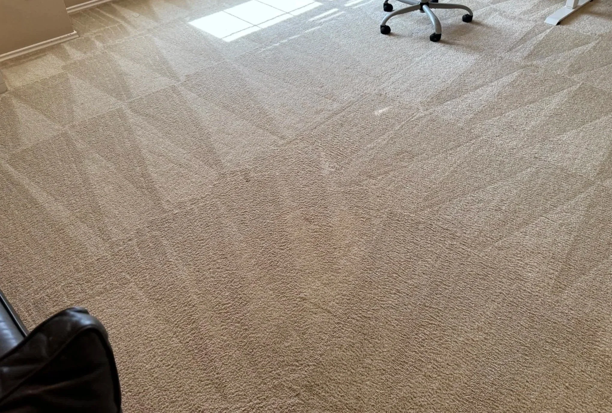 An after photo showing a clean beige carpeted room with a black leather chair and an office chair with wheels - the carpet has been professionally cleaned.