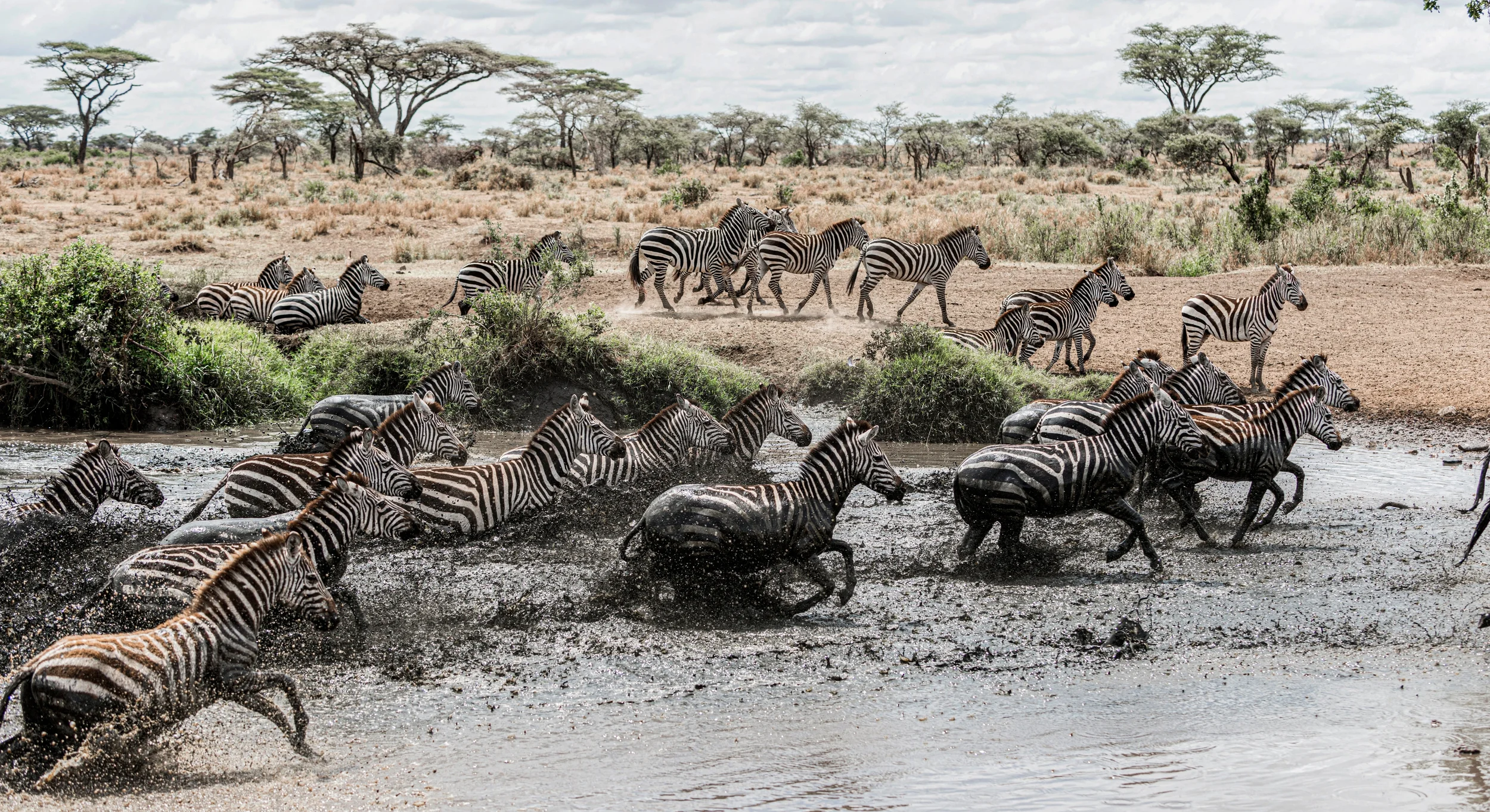 How to See the Real Great Migration