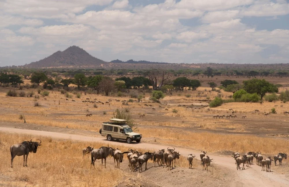 EWT’s Ultimate East Africa Reading &amp; Film List