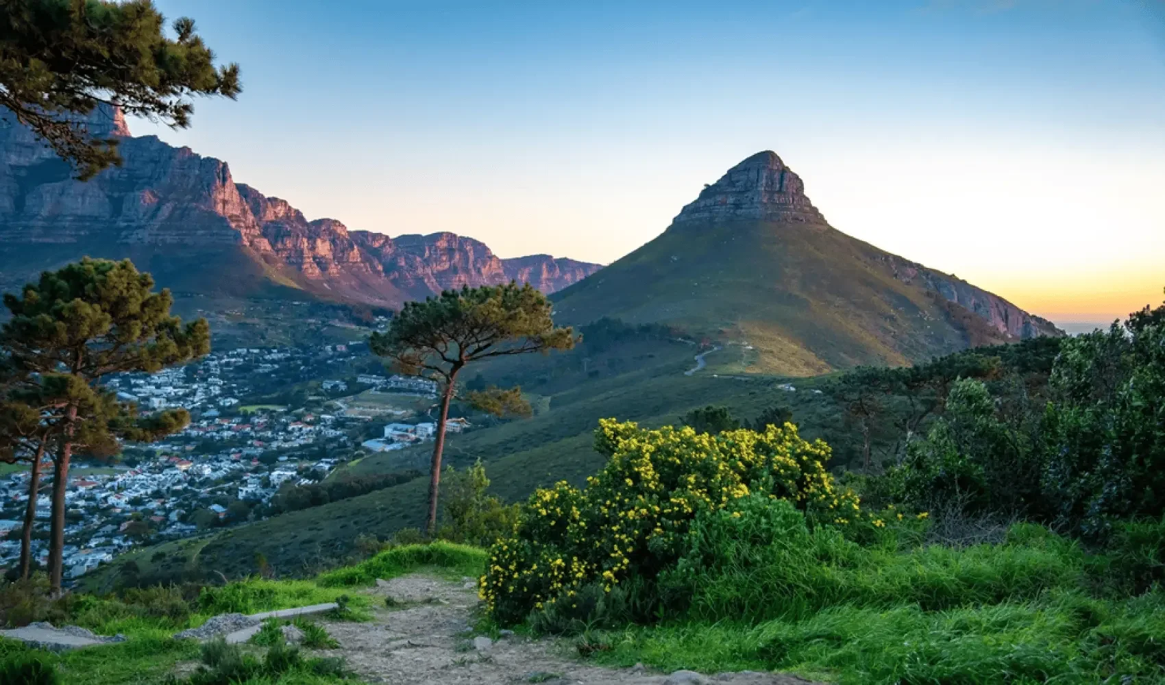 Landscape view of a mountain called Lion's Head in Cape Town, South Africa, with trees, greenery, and a town below during sunset.