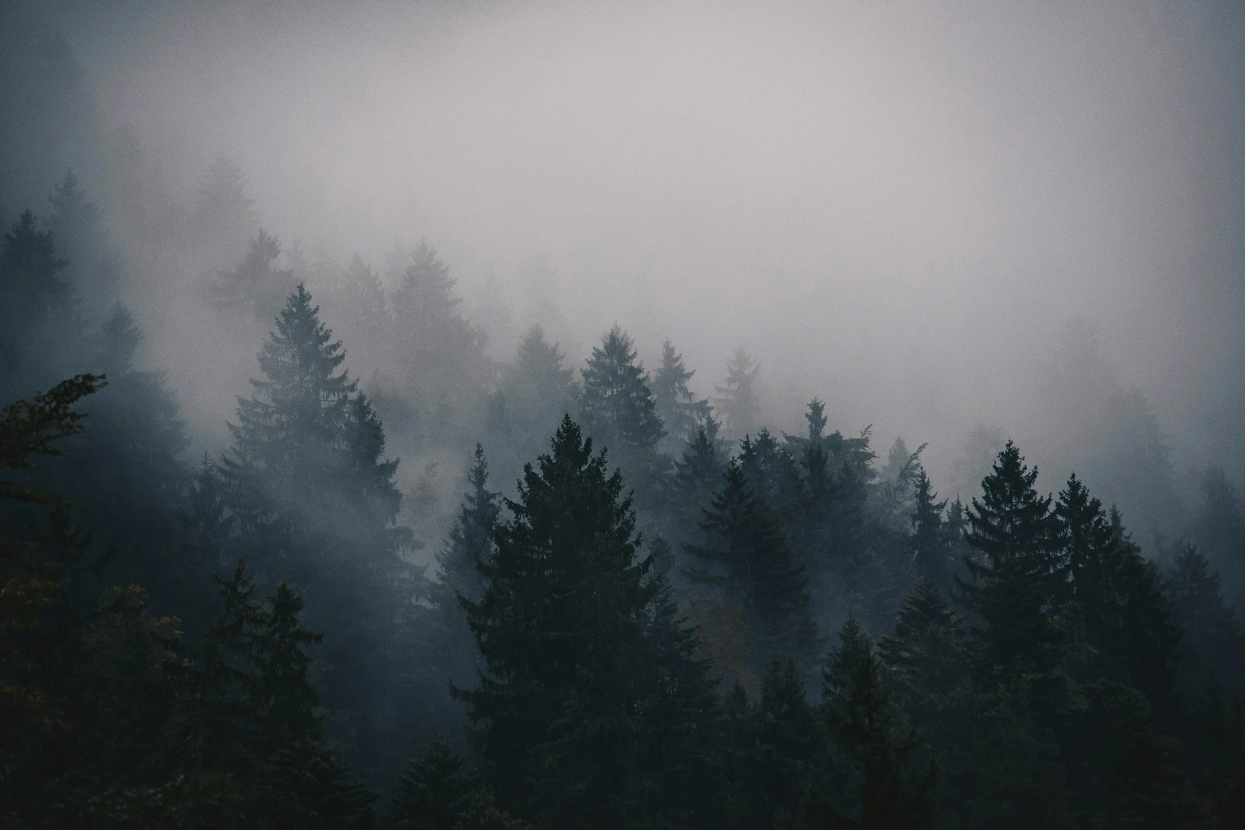 unsplash-image-BS-Uxe8wU5Y.jpg
