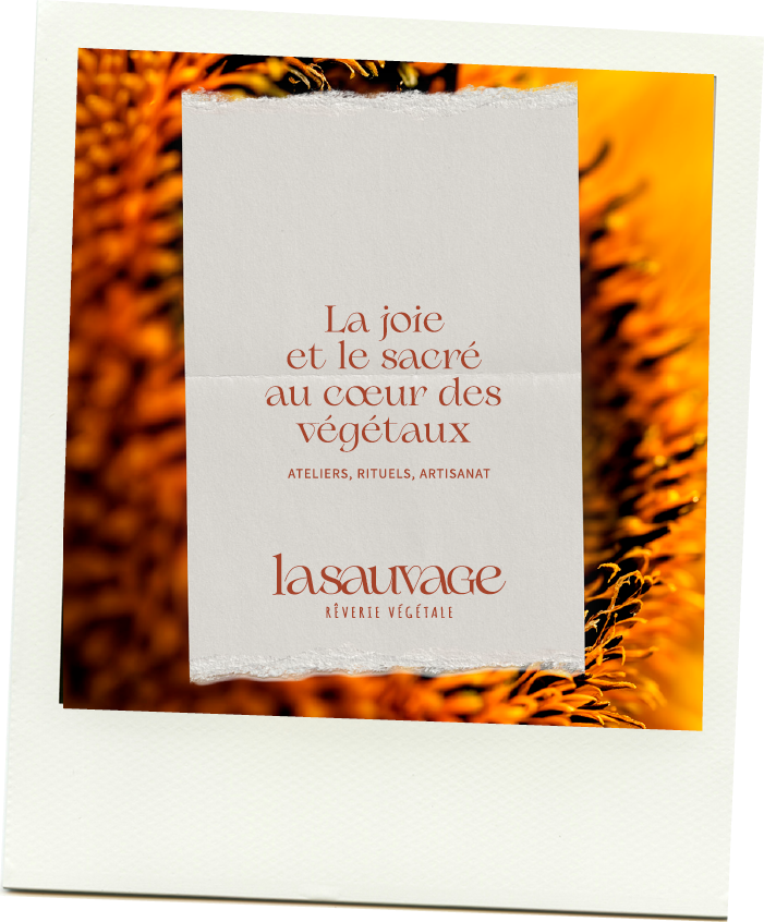 Resultat de l'accompagnement identite visuelle La Sauvage -- cree en branding holistique par Studio graphique Origine, Dijon