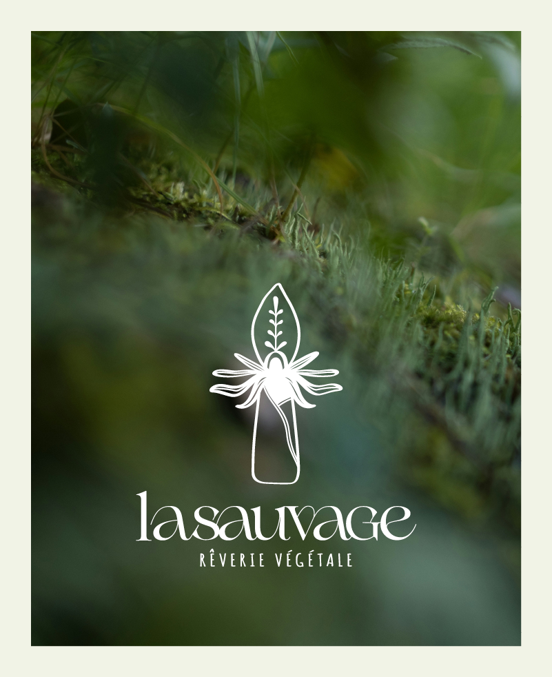 Identite visuelle de La Sauvage, ferme florale -- creation Studio Origine, graphiste Dijon Bourgogne