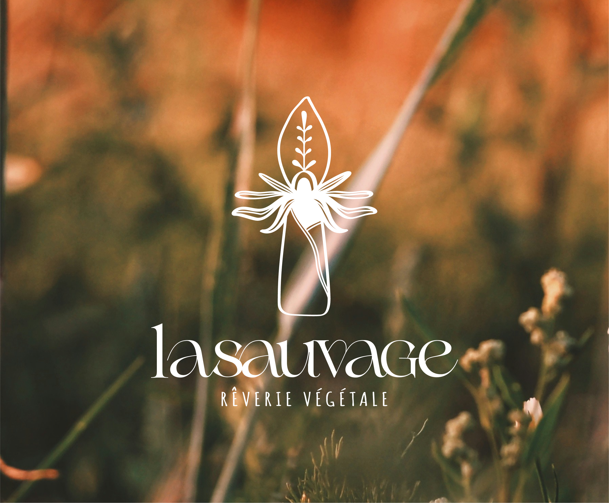 projet-la-sauvage-03.png