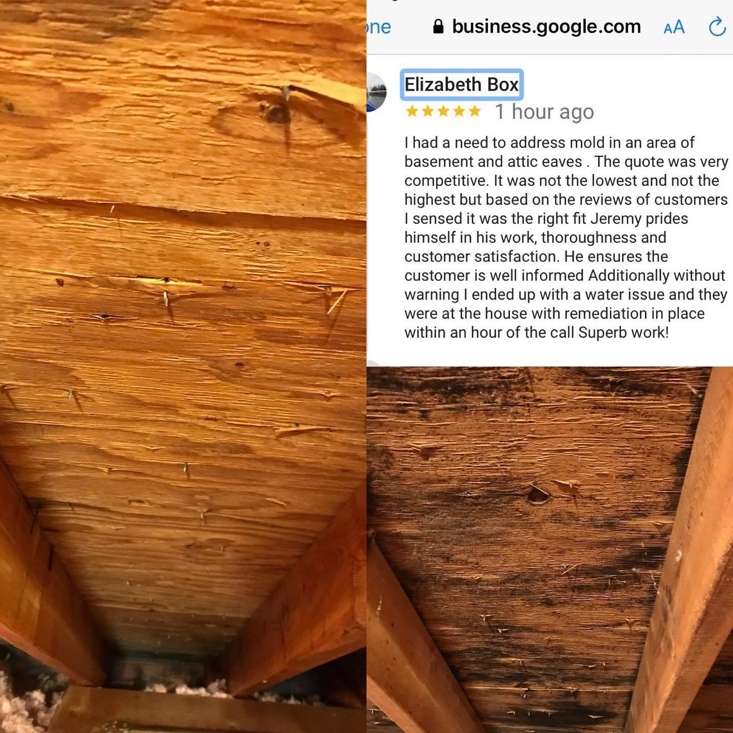 Thank you, Liz for the ⭐️⭐️⭐️⭐️⭐️ review!  We pride ourselves in providing excellent customer service and are glad we could help take care of your home quickly and efficiently. Black mold due to insulation in an attic blocking ridge vents. Completely