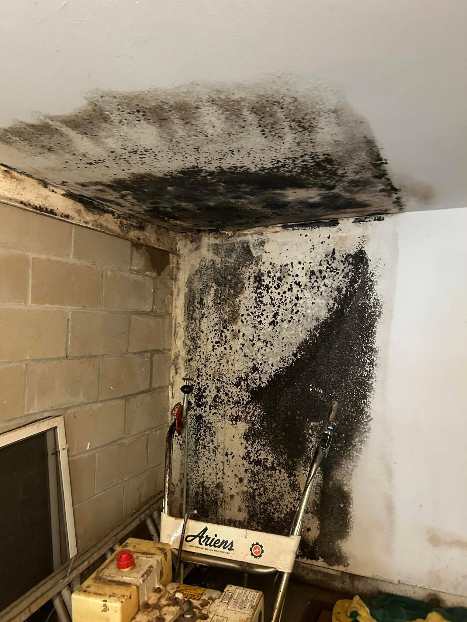 ATTENTION HOMEOWNERS &amp; REAL ESTATE AGENTS 

At Restoration 1 of Windham, we recently tackled a serious issue in a local garage &ndash; mold growth caused by a slow, undetected water leak. 

Check out the photo below showing the damage. This is a 