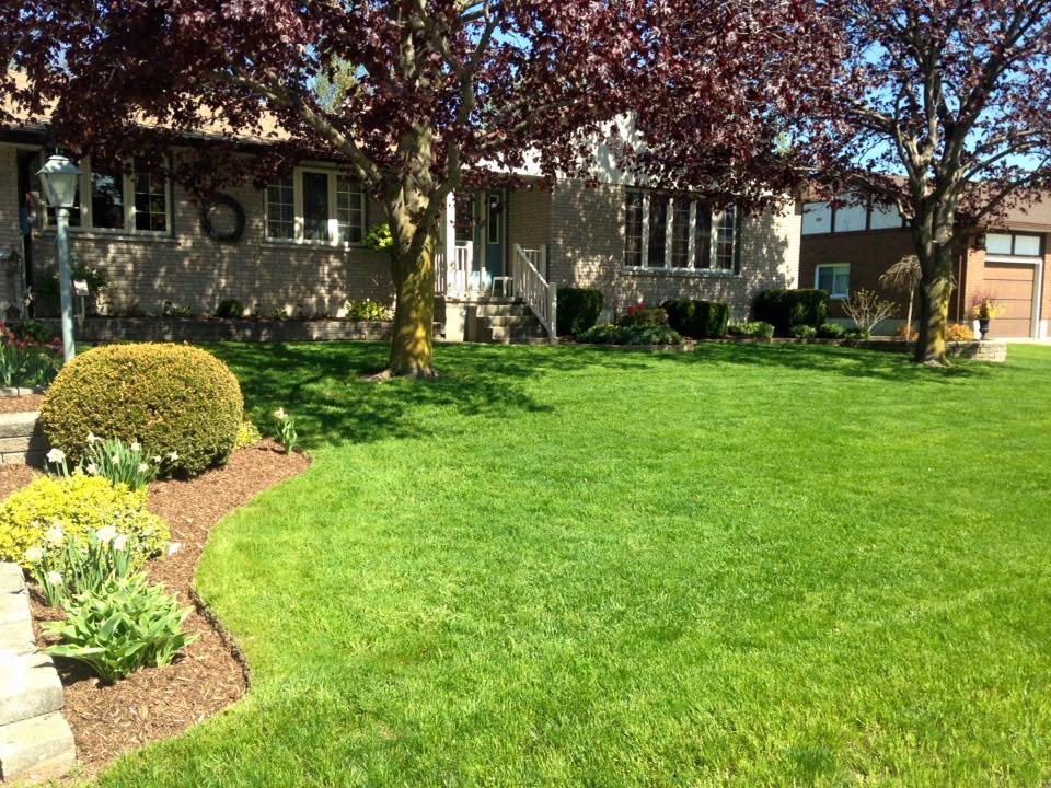 front-of-house-mulch.jpg