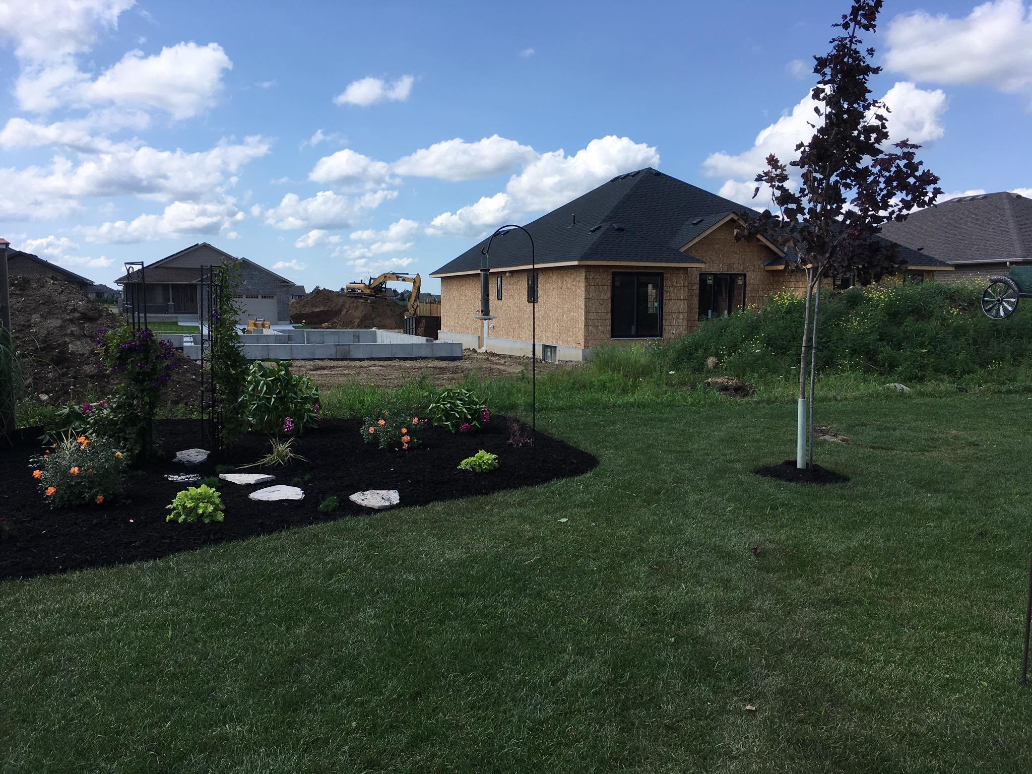 mulch-gardens-trees.jpg