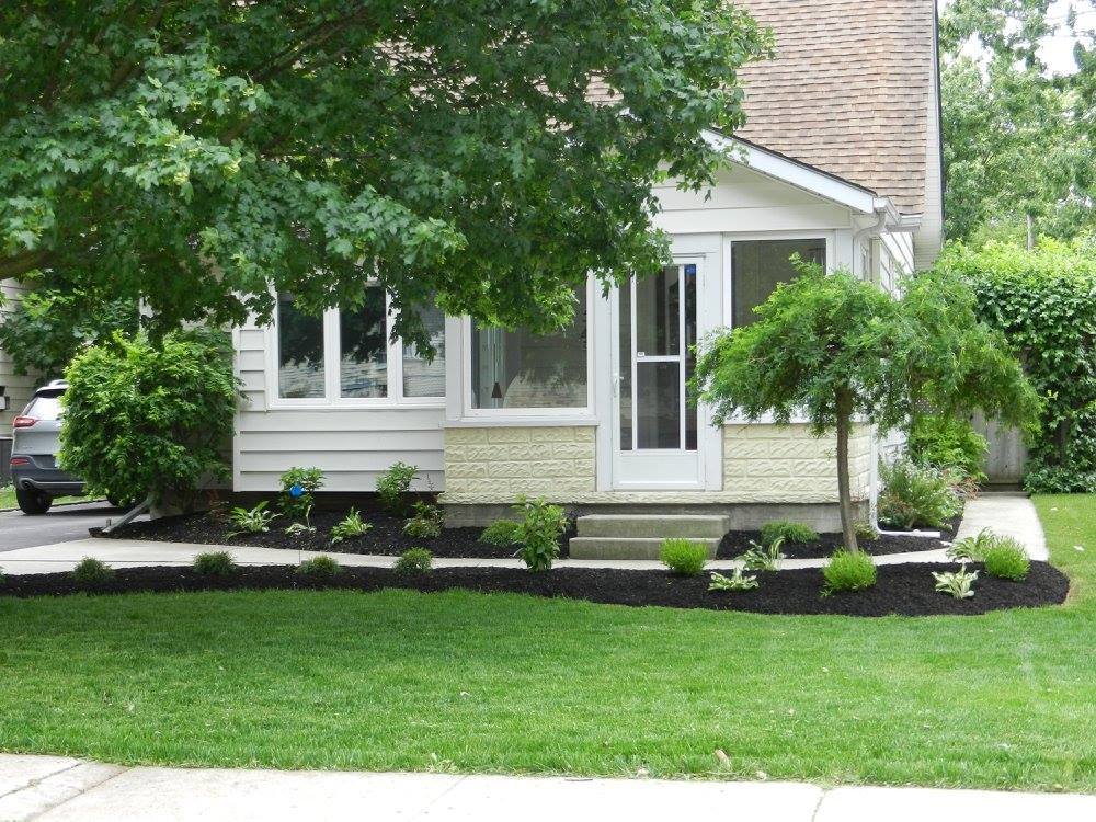 white-house-front-shrubs.jpg