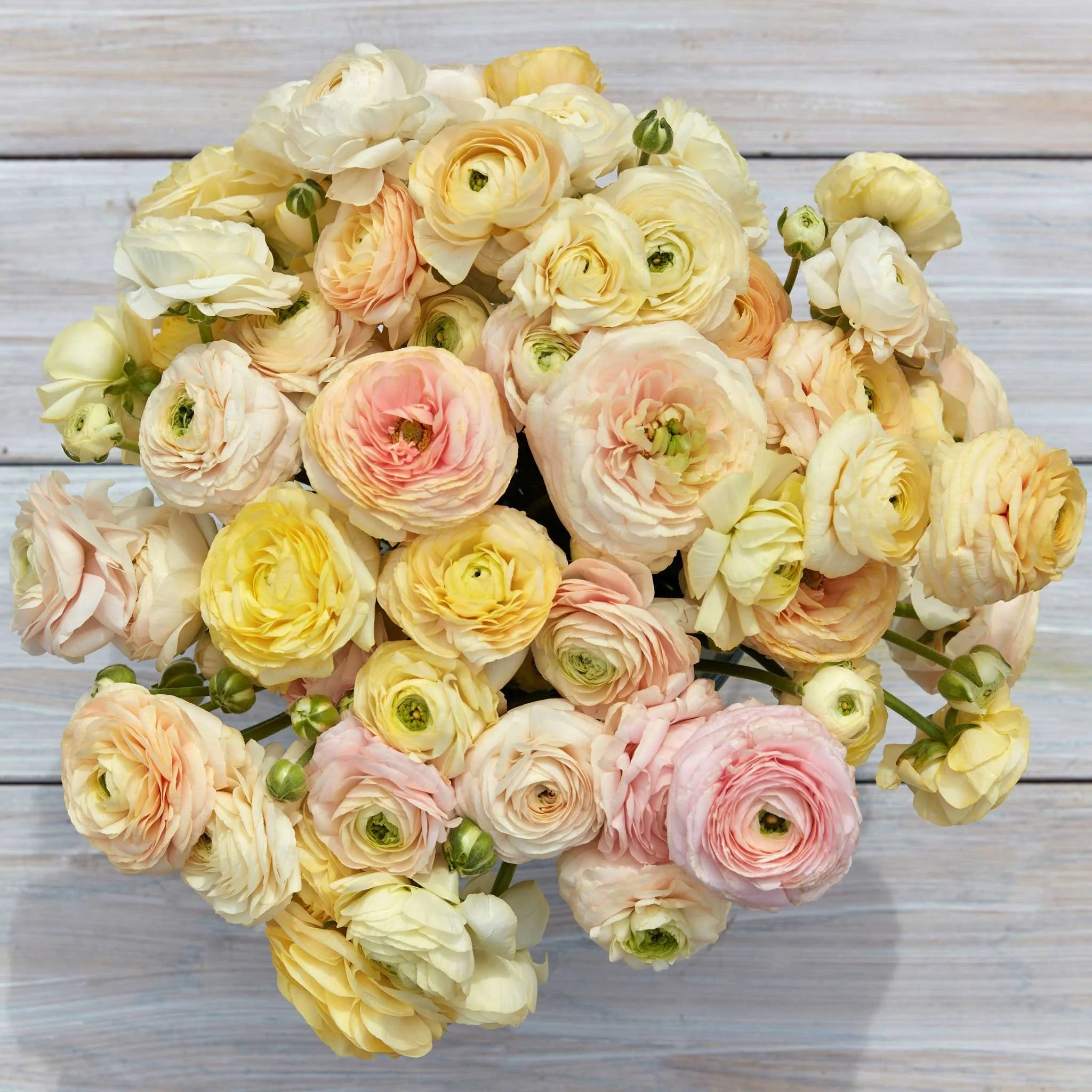wedding pastel.jpg
