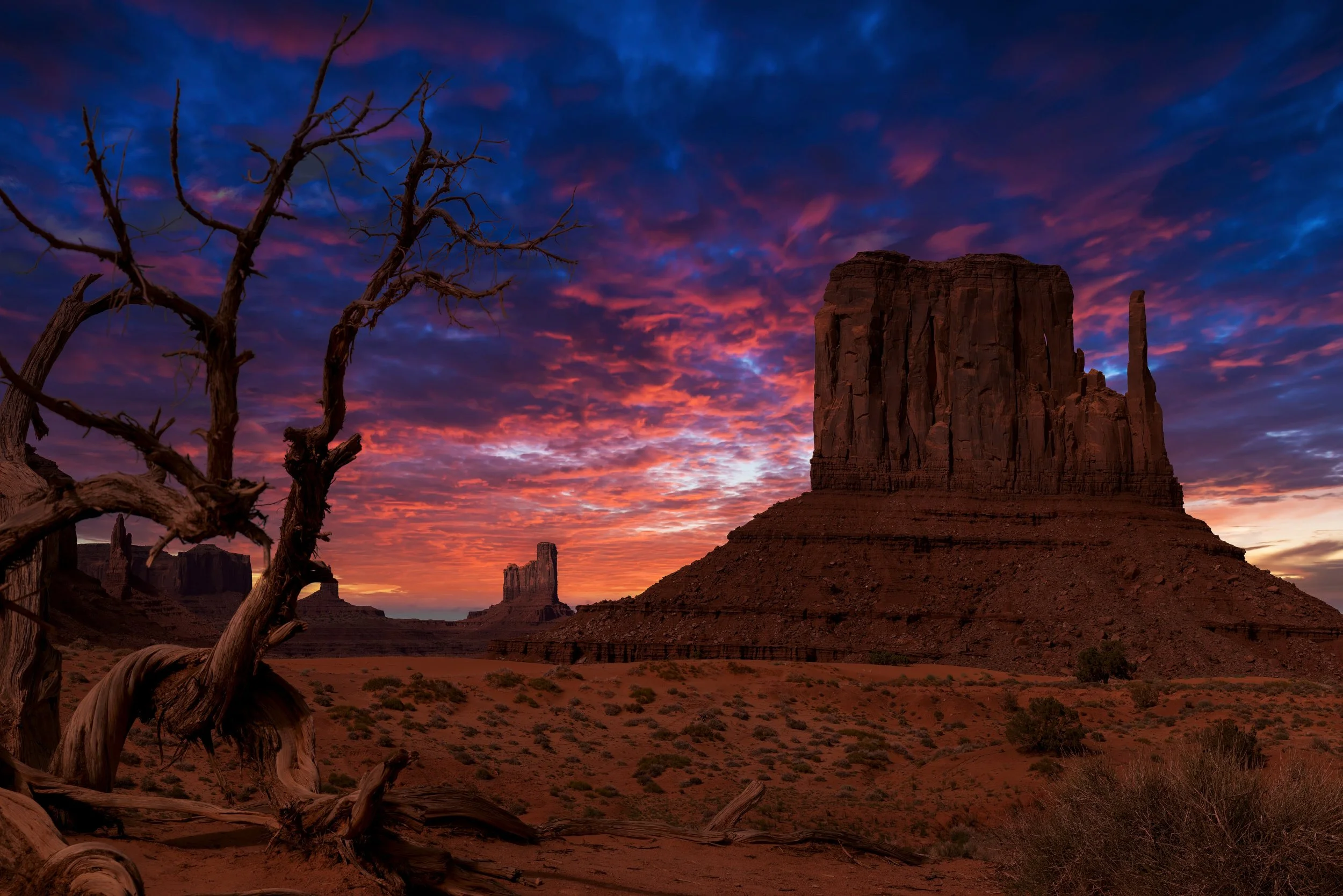 Sunset sunset over Monument Valley with large rock formations, desert terrain, and a twisted, leafless tree in the foreground.