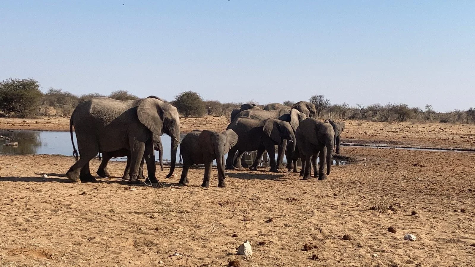 01.09.2021: Etosha part II