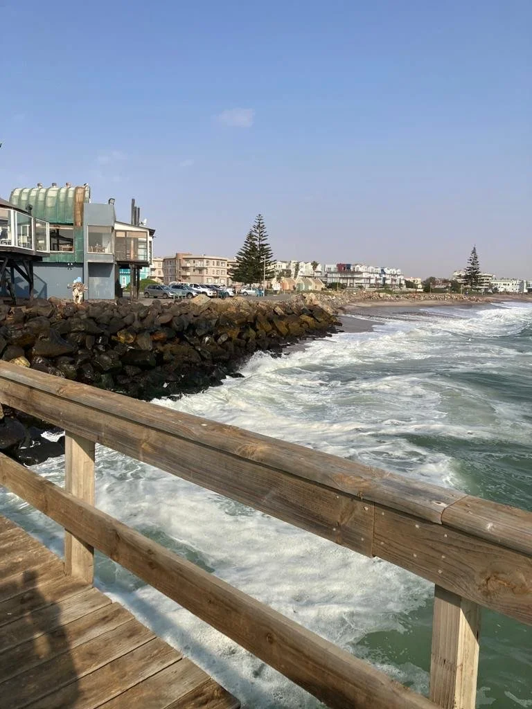 23.08.2021: Namib coastlife