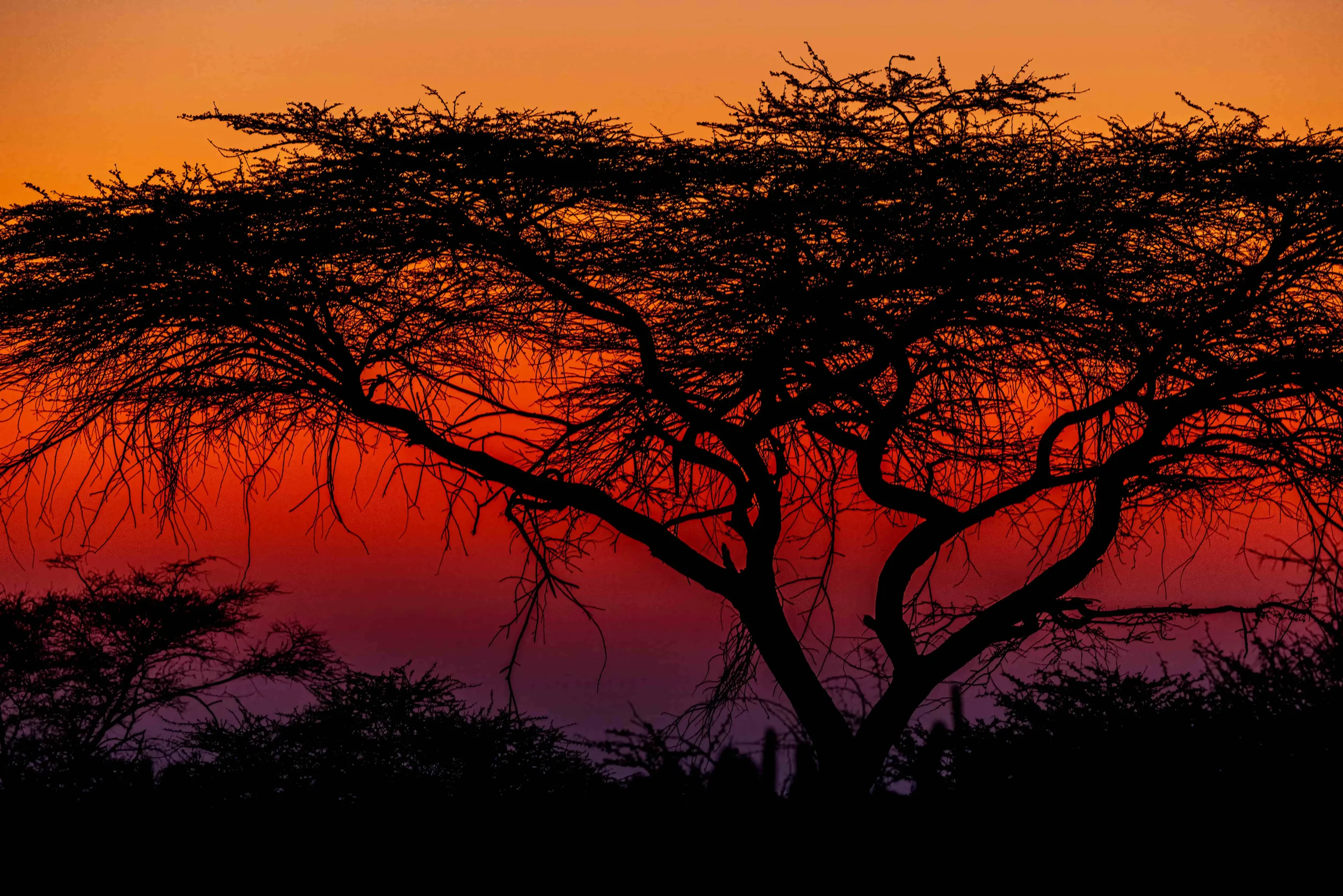 05.09.2021: Namibia — saying goodbye is hard