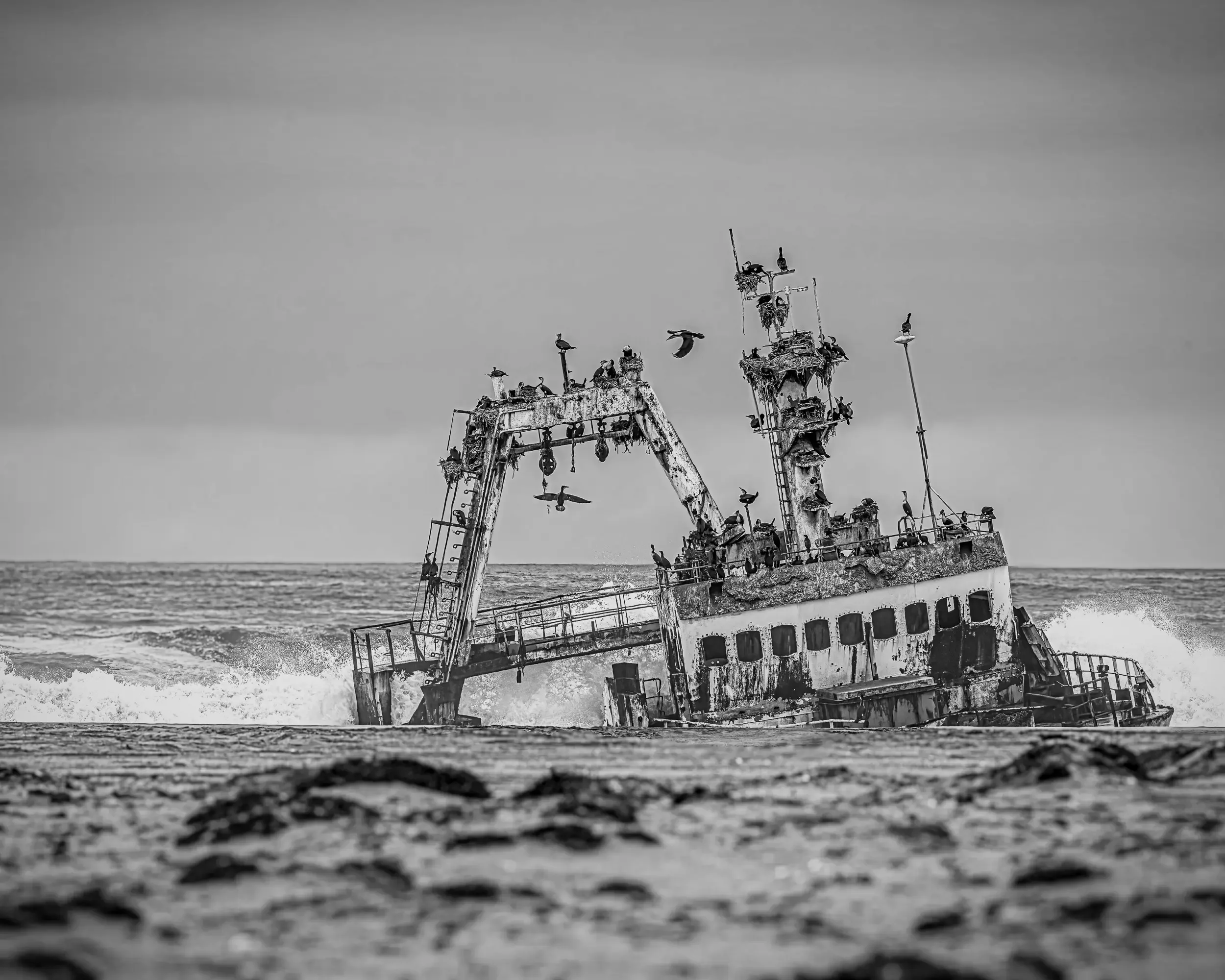 Black and white photo of a sunken shipwreck with seagulls perched on it, surrounded by ocean waves.