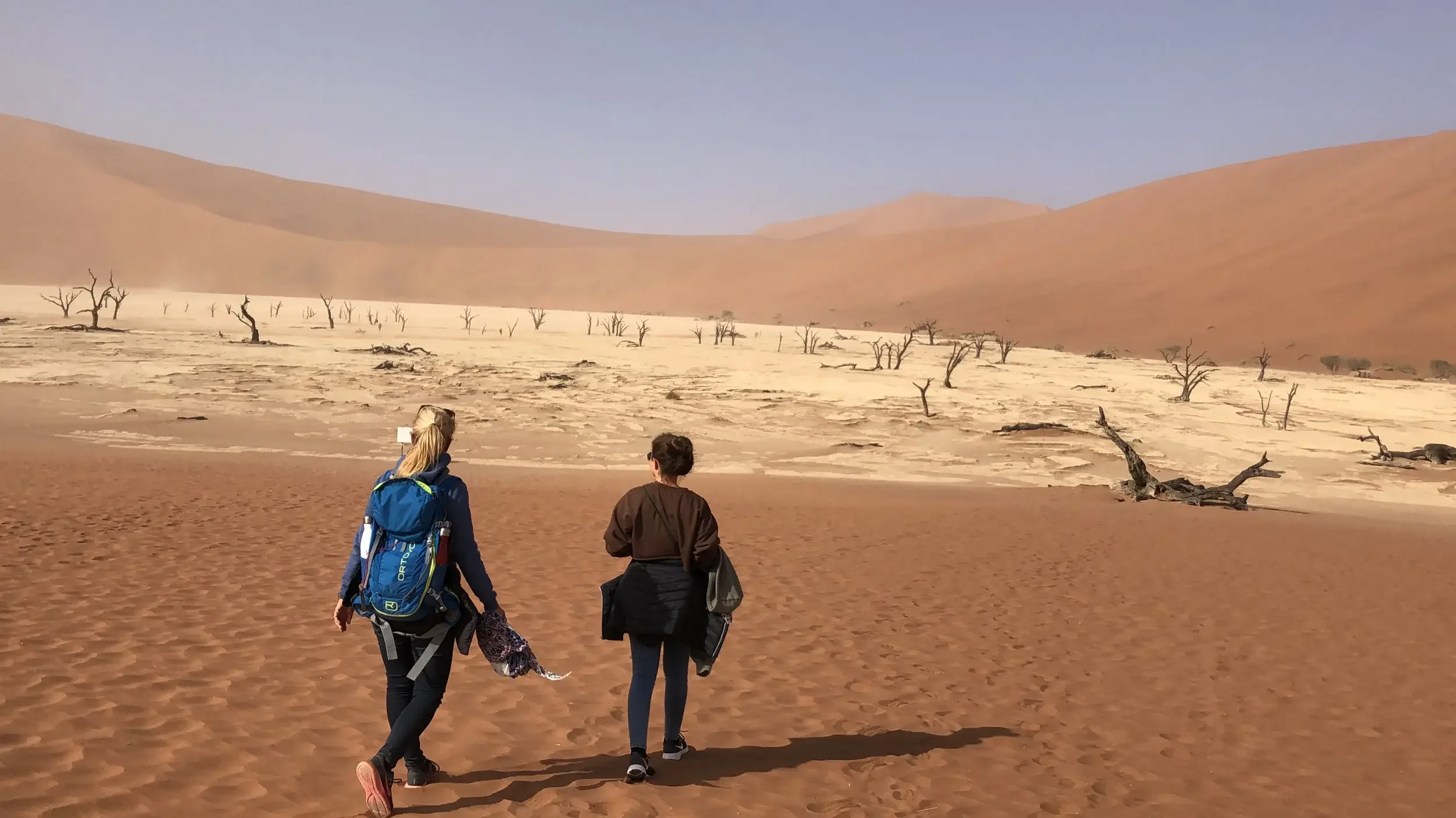 21.08.2021: Namib desert