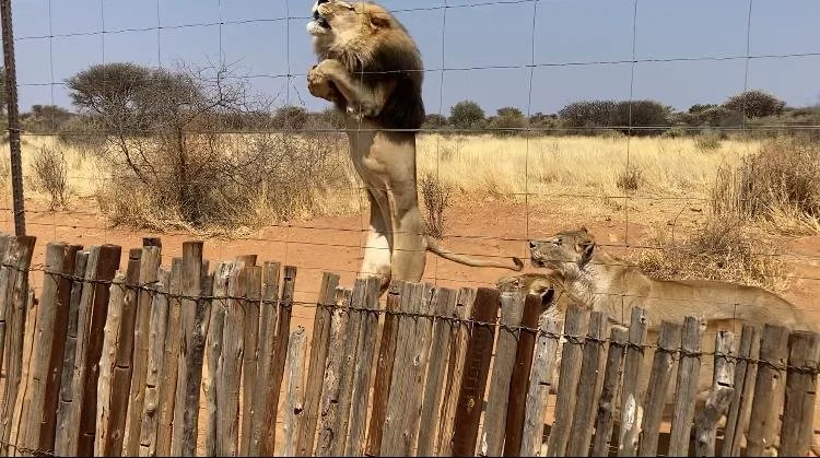 03.09.2021: Conservation Lodge