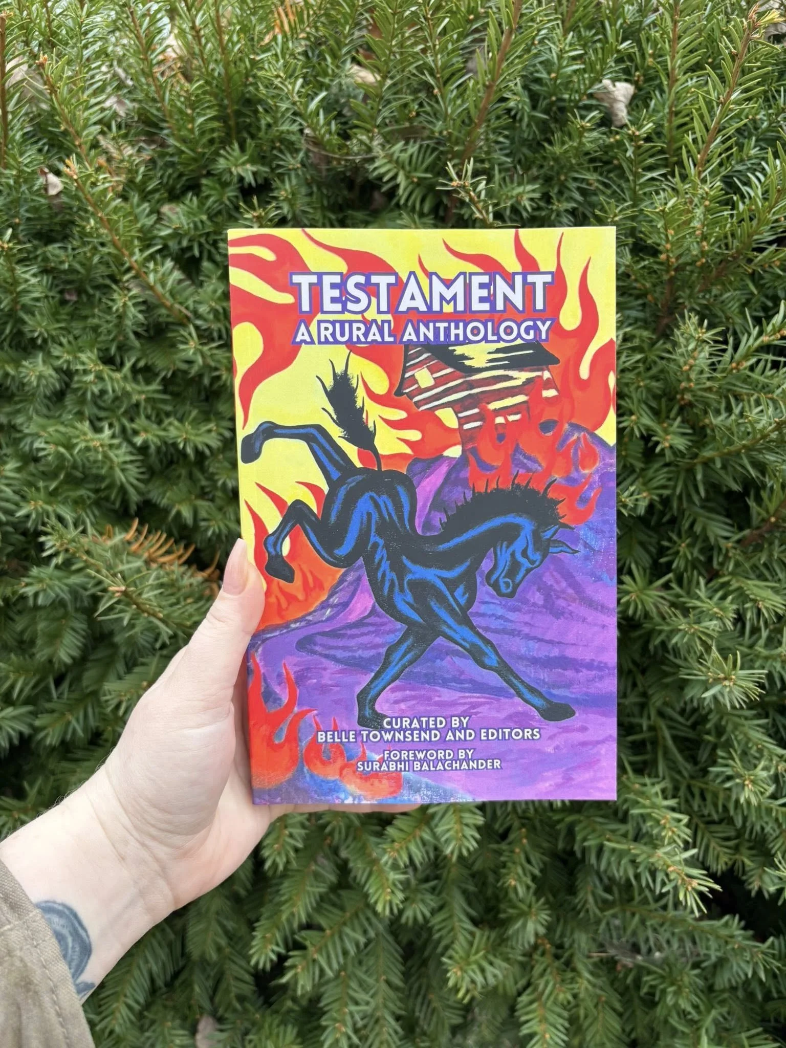 Buy 1 Give 1, Testament: A Rural Anthology