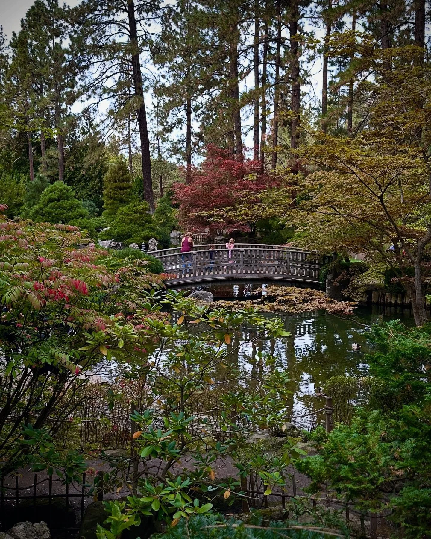 An afternoon at the Japanese garden at Manito Park in Spokane.