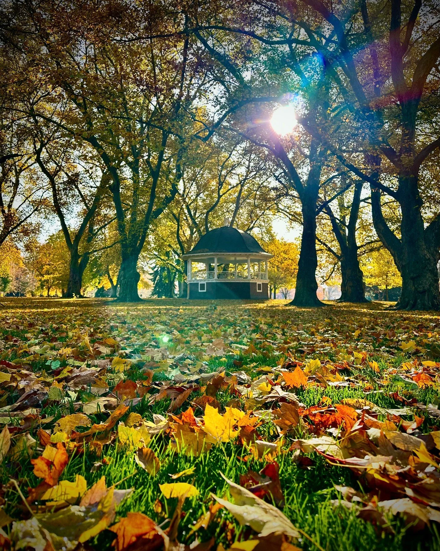 🍂 As the seasons shift and the leaves turn, we&rsquo;re reminded that change is a natural &mdash; and necessary &mdash; part of growth.

Just like nature, your brand deserves space to evolve. Maybe your business has grown, your vision has sharpened,