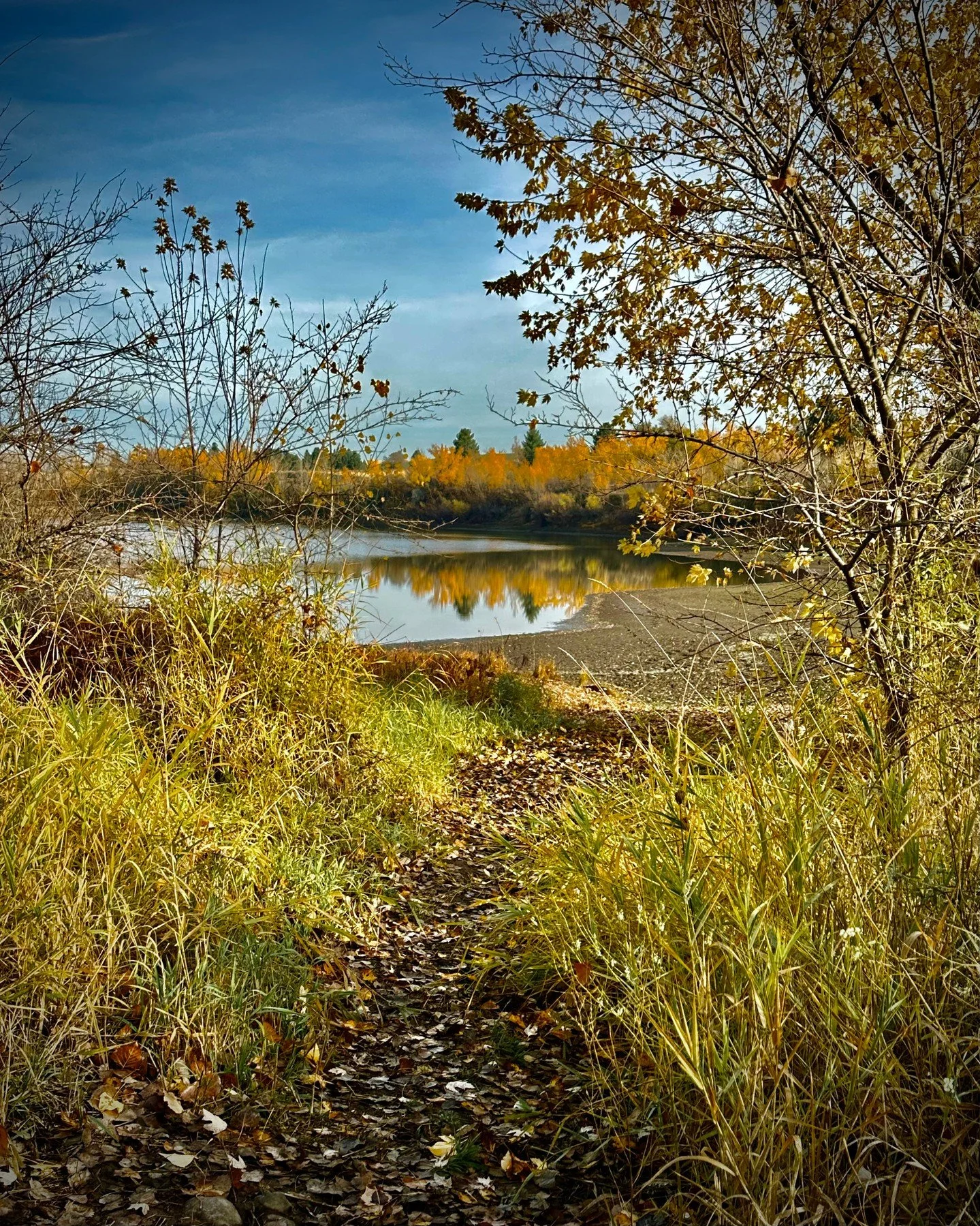 🍂 Taking the path less traveled can lead to the most unexpected beauty.

At the beginning of the year, I took a leap and started my business. I wasn&rsquo;t sure where it would take me &mdash; or if I was even ready &mdash; but it&rsquo;s turned int