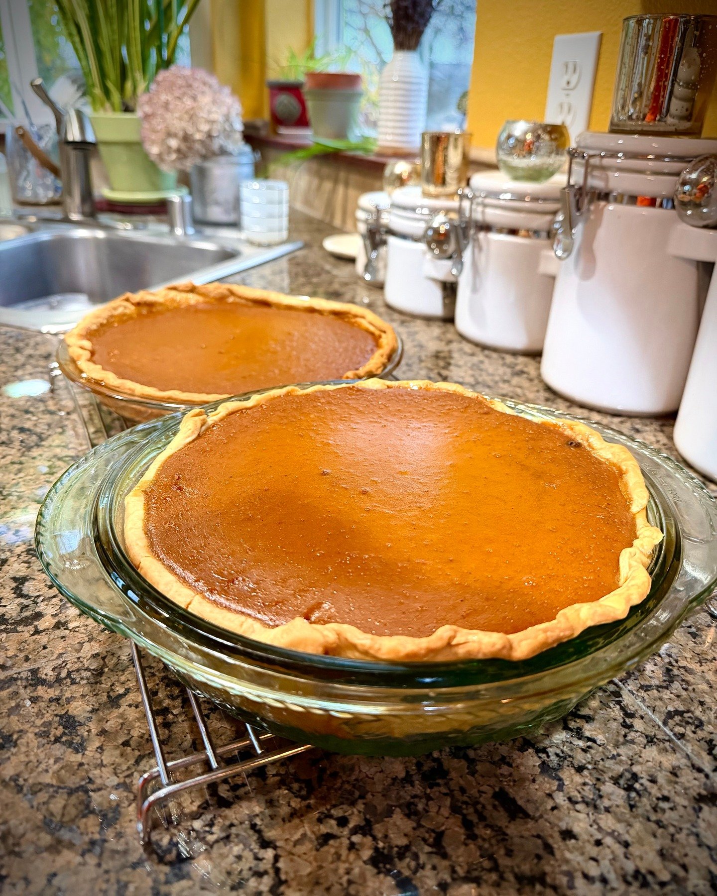 Grateful Today &amp; Every Day 🍁

This Thanksgiving, I&rsquo;m reflecting on a year filled with big changes and beautiful collaborations.
To my incredible clients&mdash;thank you for your trust, your vision, and the chance to help bring your ideas t