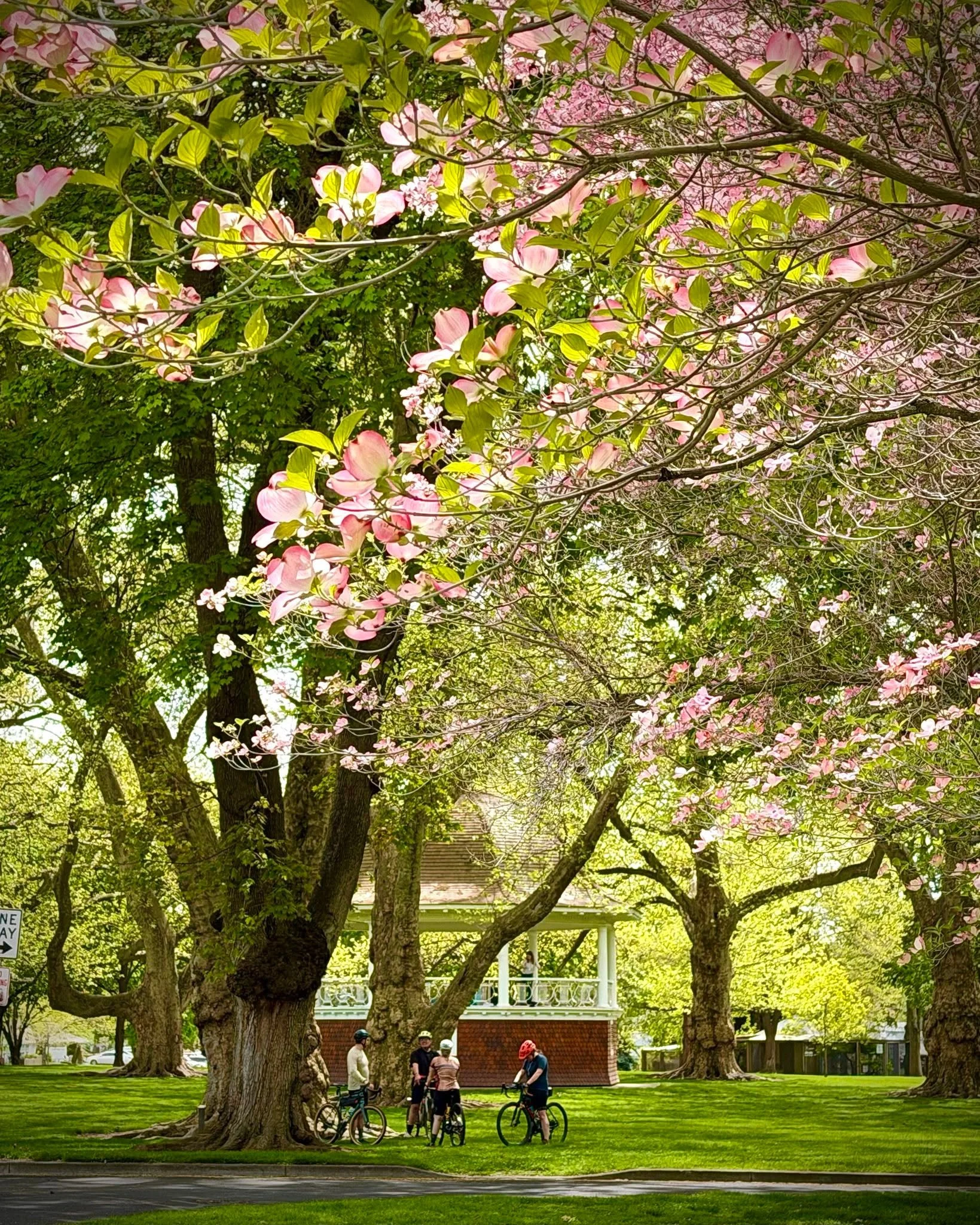 There&rsquo;s something about this community that always brings me back to center 🤍 I took a stroll through Pioneer Park this afternoon to enjoy the dogwoods in full bloom 🌸🌿&mdash;and it felt like a true reset.

It&rsquo;s a good reminder that no