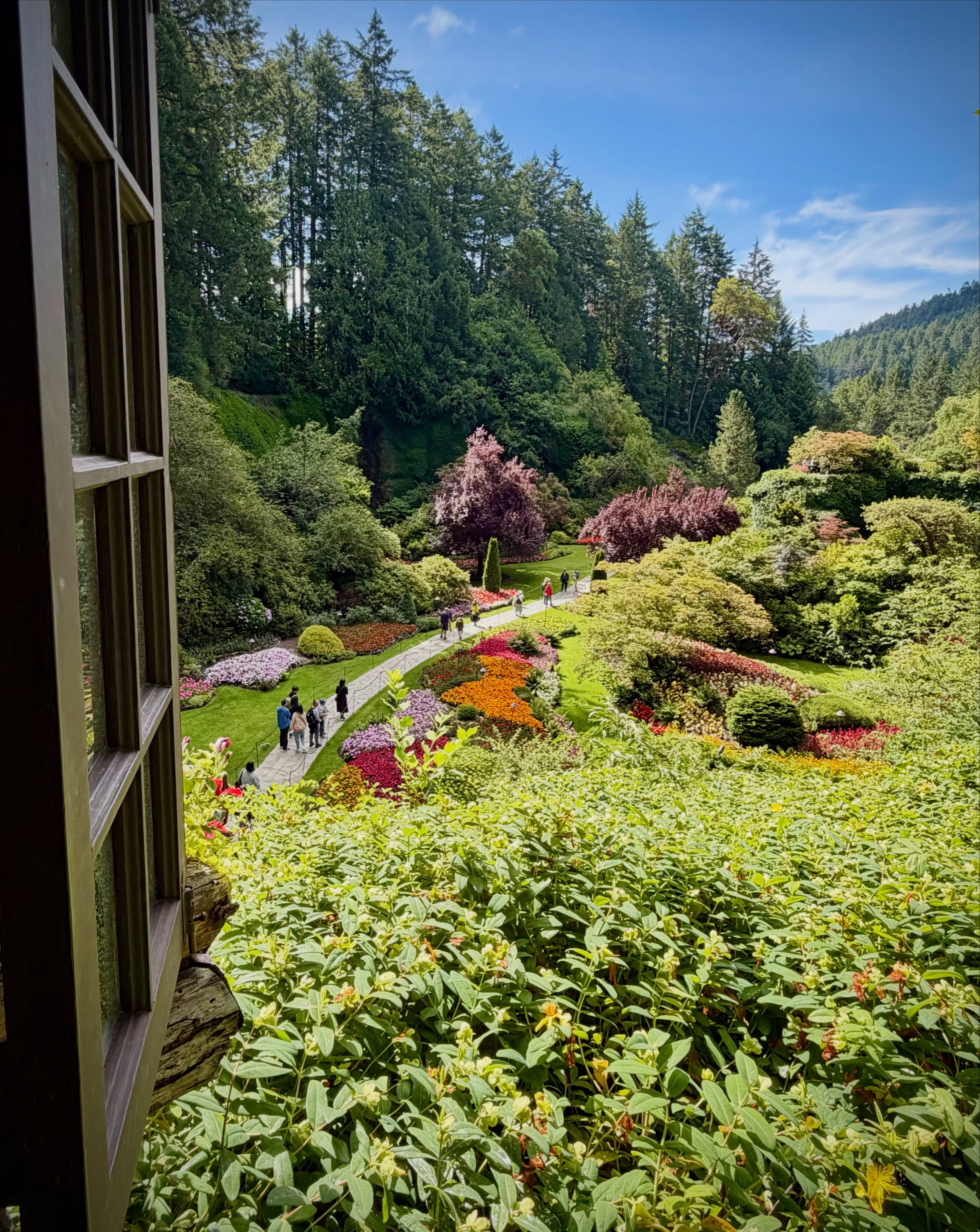 Lovely afternoon @thebutchartgardens with family.