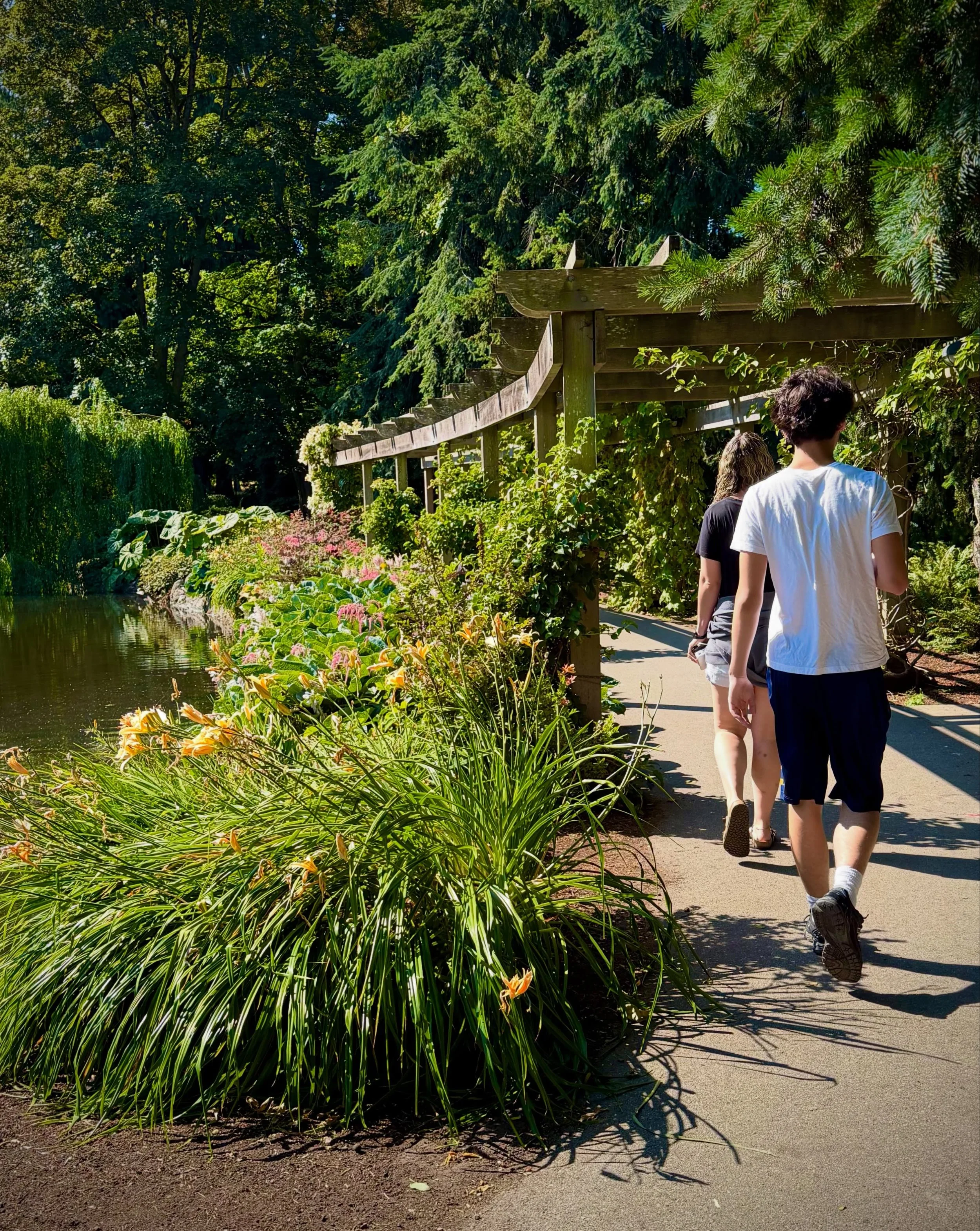 A morning walk through Beacon Hill Park.