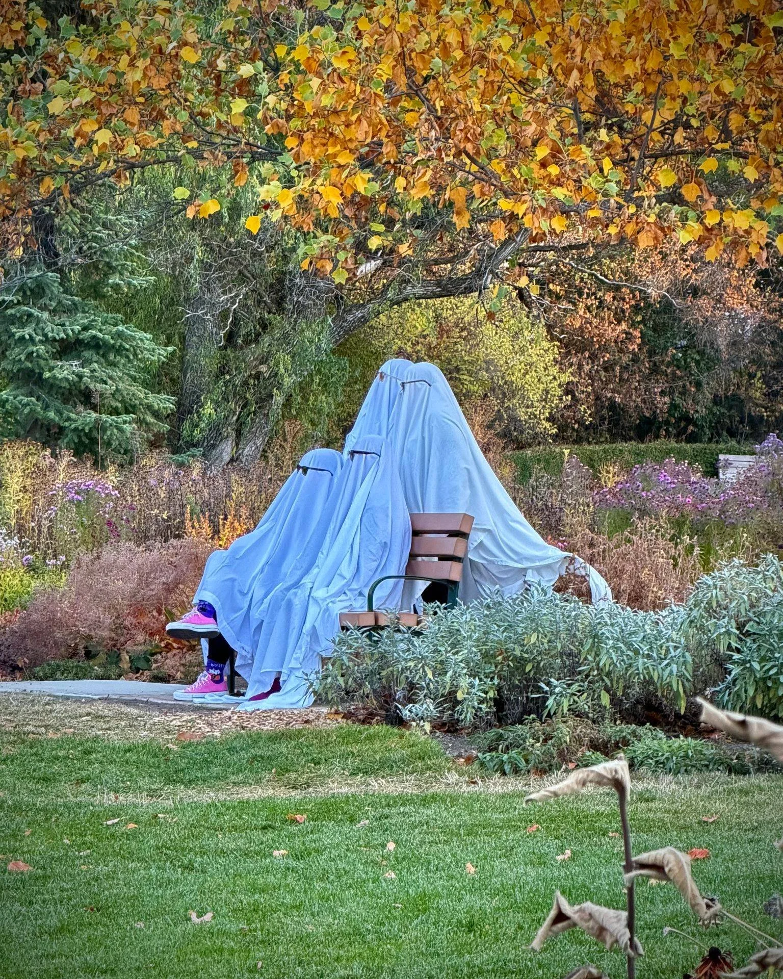 👻🎃 A Little Halloween Magic Around Town! 🕸️

From ghostly photo shoots in the park to spooky decorations popping up around the neighborhood, Halloween is bringing out the creativity in our community! 🦇🍂

What&rsquo;s your favorite Halloween-deco