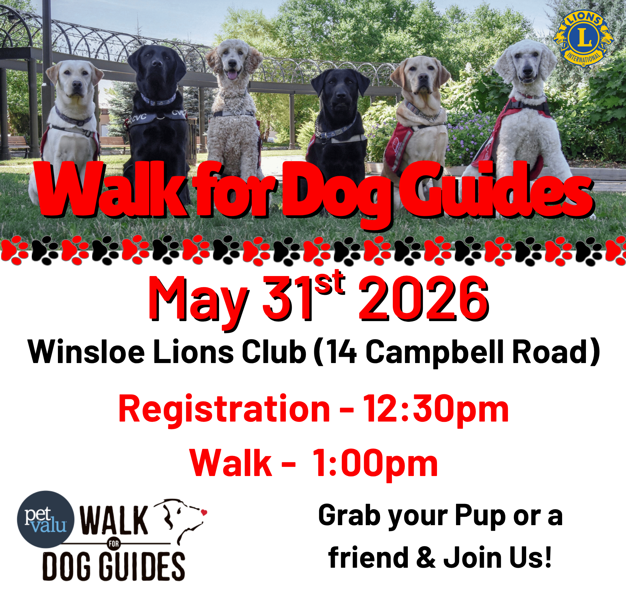 2026 Pet Valu Walk for Dog Guides