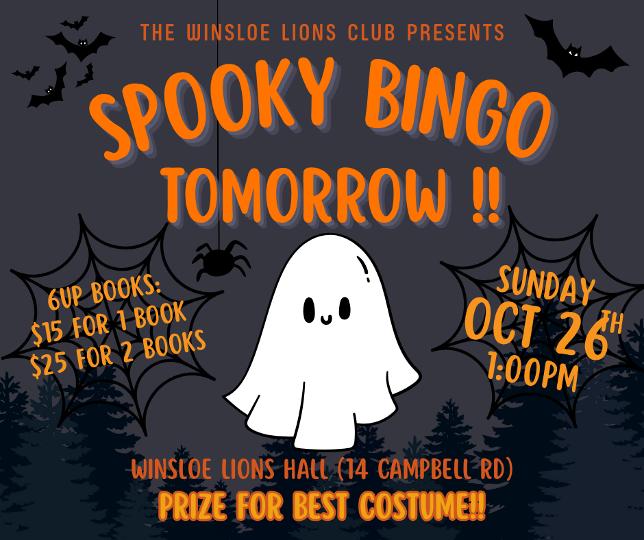 A Halloween-themed event poster for a spooky bingo night hosted by the Winsloe Lions Club on October 26th at 1:00 PM at Winsloe Lions Hall. The poster features a cartoon ghost, black bats, spider webs, and silhouettes of trees, with event details and book prices in orange text.