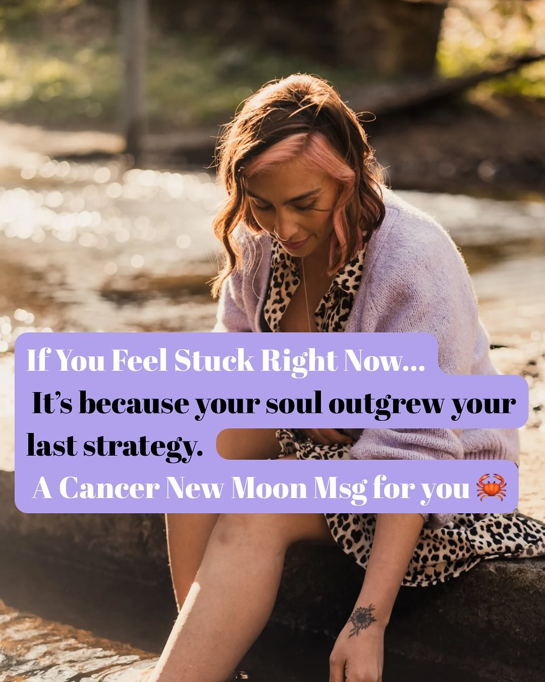 If you&rsquo;re feeling stuck or lost as this Cancer New Moon approaches...you&rsquo;re just in between shells.

🦀 You&rsquo;ve outgrown the version of your business that was all &ldquo;strategic but safe.&rdquo;

✨ You feel the bigness that&rsquo;s