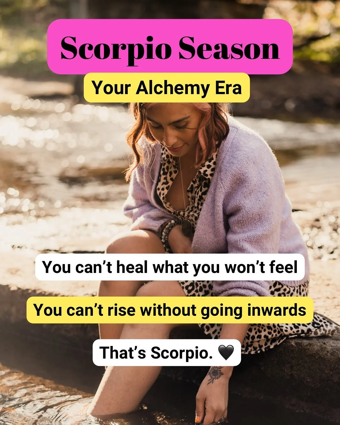 Scorpio season is here ♏️🦂❤️&zwj;🔥

Ready to deeply feel, to alchemise and transform?

I can hold your depths while you navigate yours.

This is your alchemy era, babe.

Get in my DMs with all the deep chats and details for a soul journey 

Where m