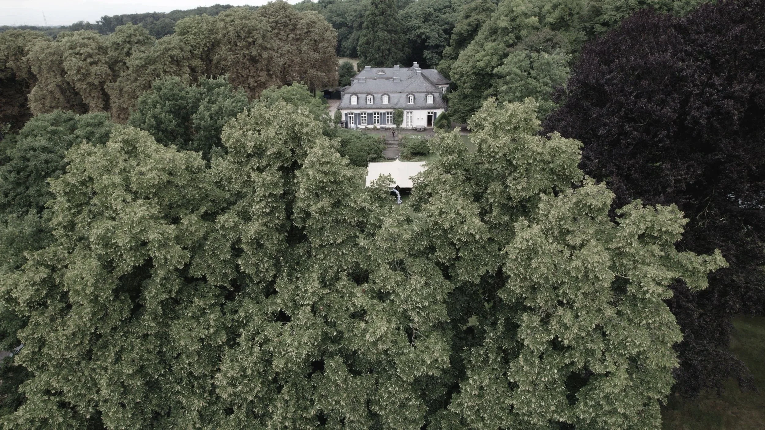 00 WADU_HP_opener_v5_Still_FirstFrame-min.jpg